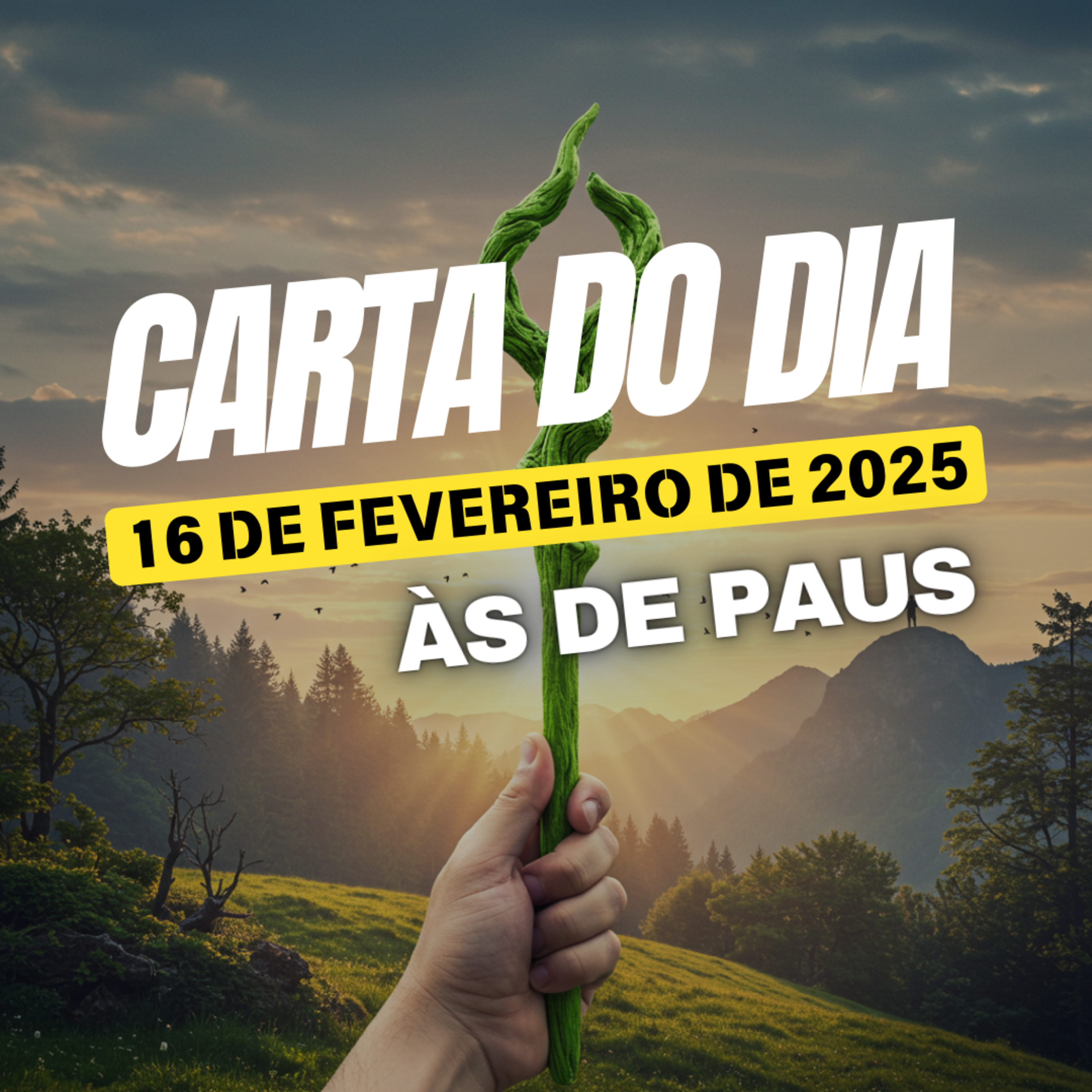 Carta para o dia 16 de Fevereiro de 2025, Às de Paus. episode artwork