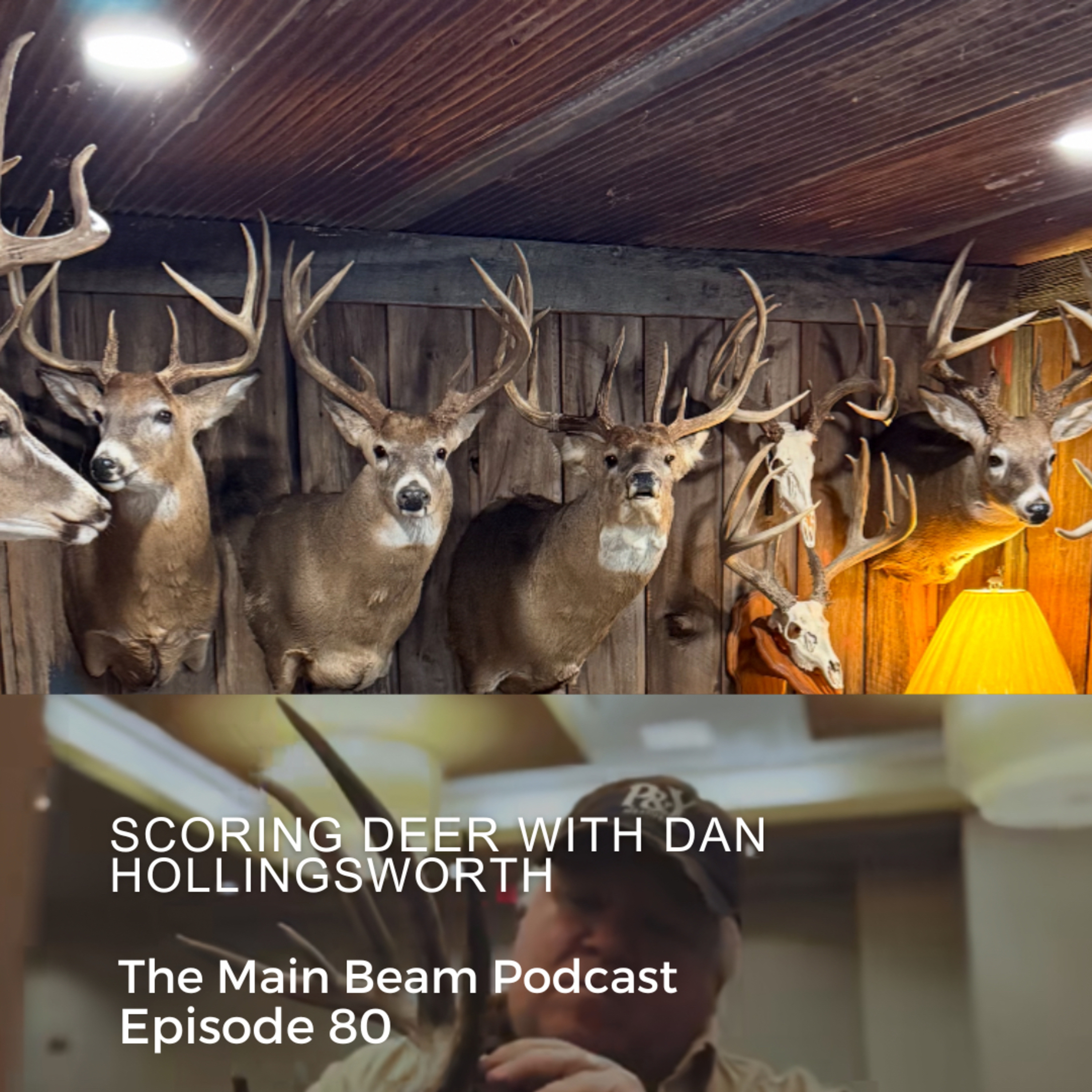 Scoring Whitetails With Dan Hollingsworth |EP80
