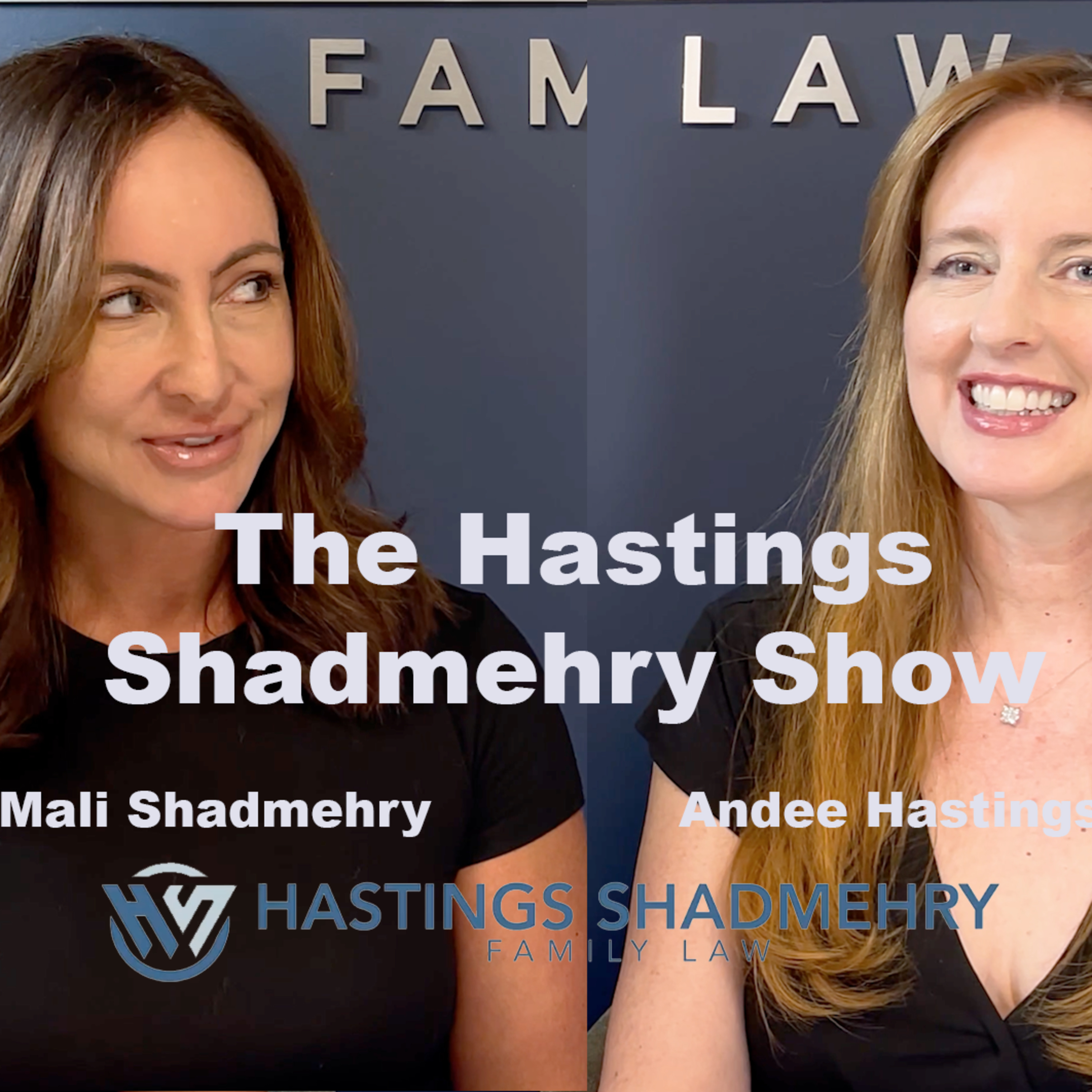 Family Law Leadership Q&A: Andee and Mali on Running a Law Firm - Episode 28 episode artwork