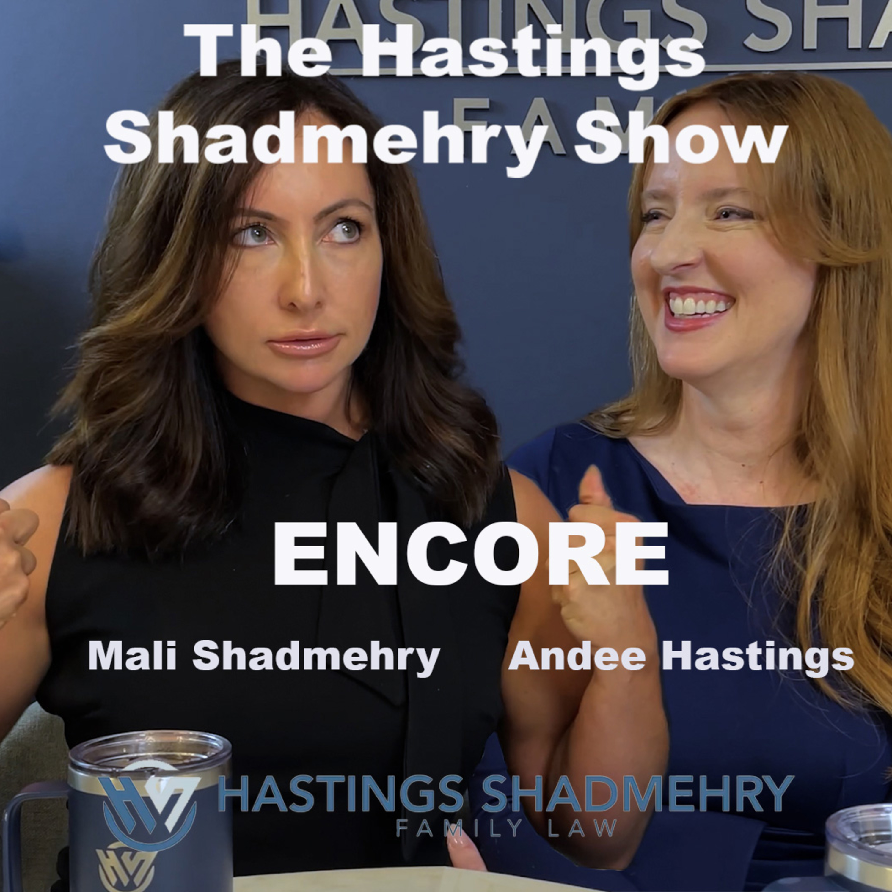Episode 25 ENCORE: The Secrets of Mediation: Navigating Disputes with Diplomacy and Strategy episode artwork