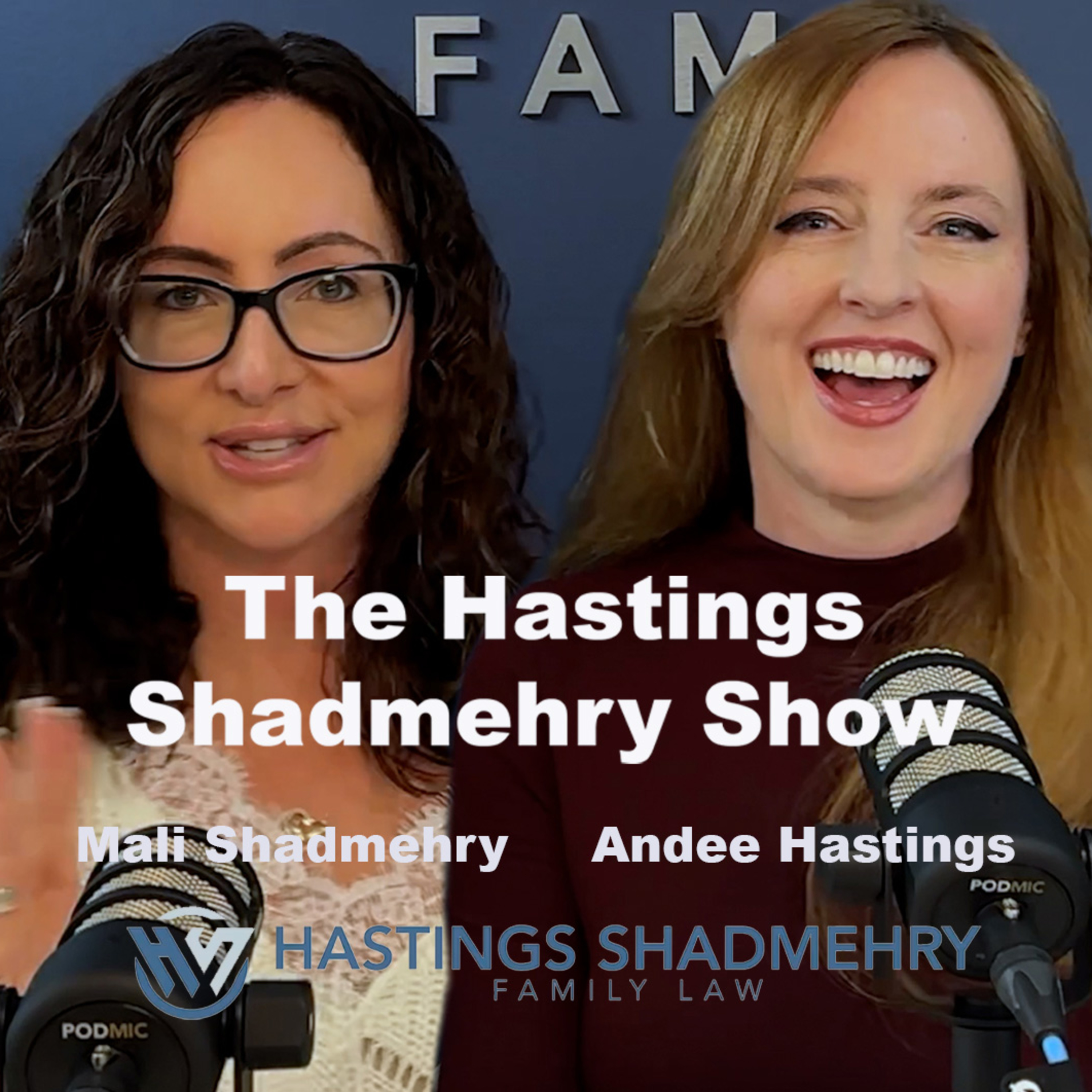 Parenting Time Agreements: Avoiding Holiday Conflicts - Episode 49 episode artwork
