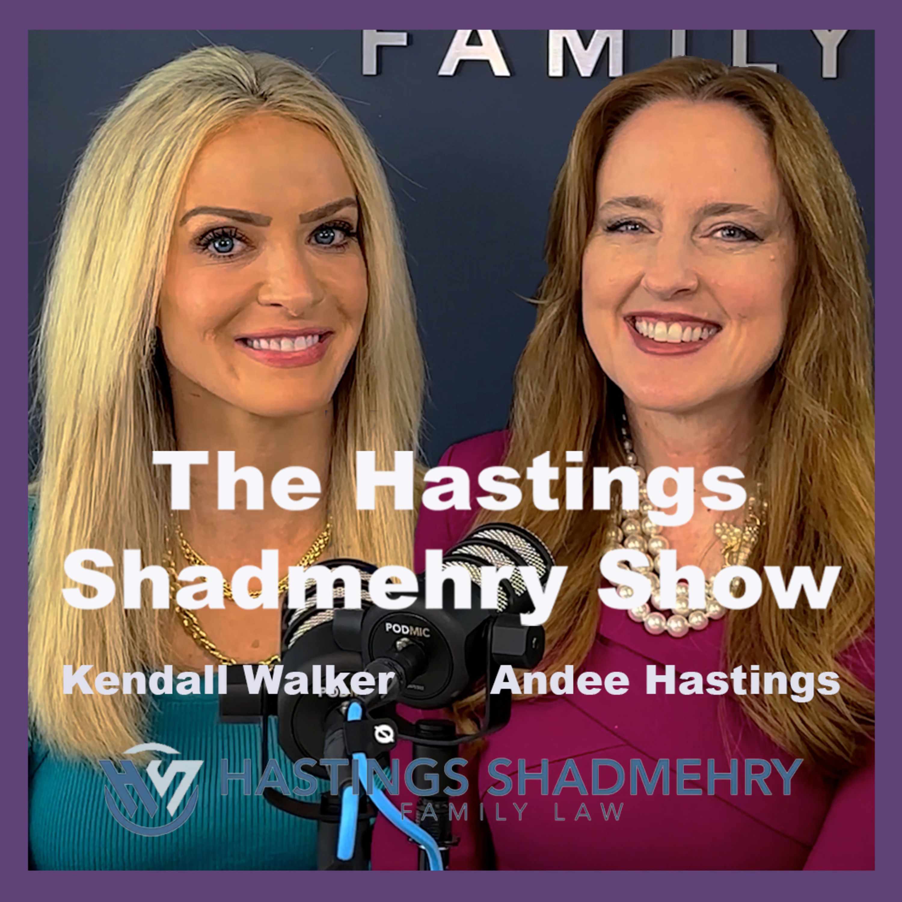Meet the Partners: Andee Hastings and her Passion for Family Law - Episode 52 episode artwork