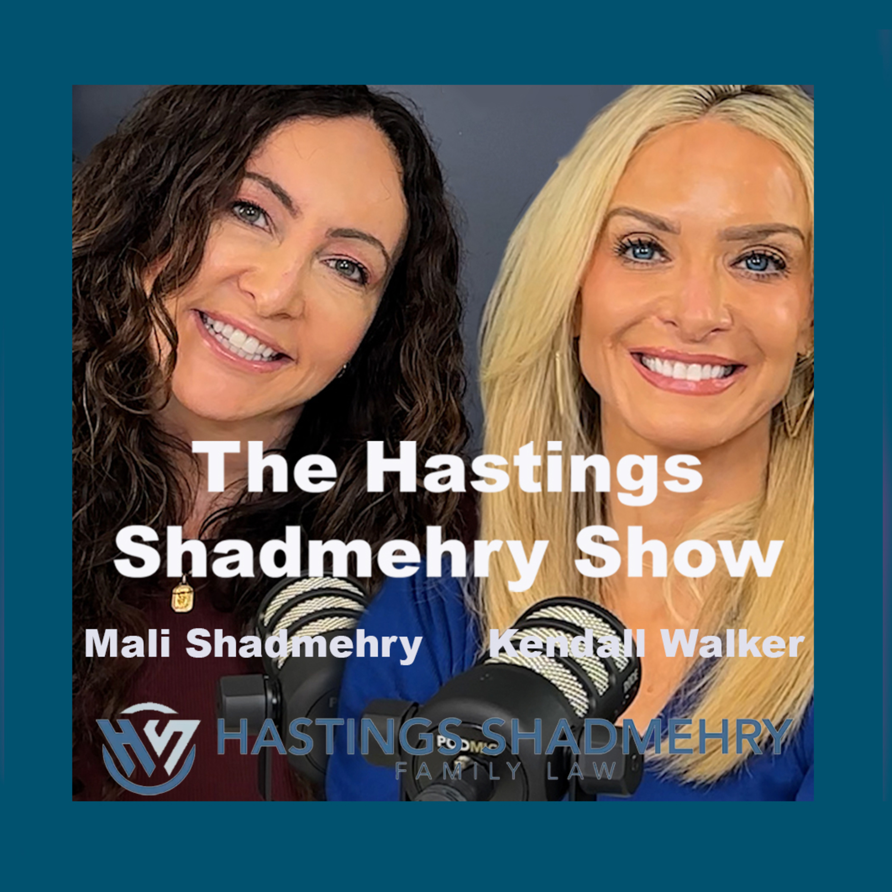 Meet the Partners: Mali Shadmehry, Family Law Attorney, and Trailblazer - Episode 53 episode artwork