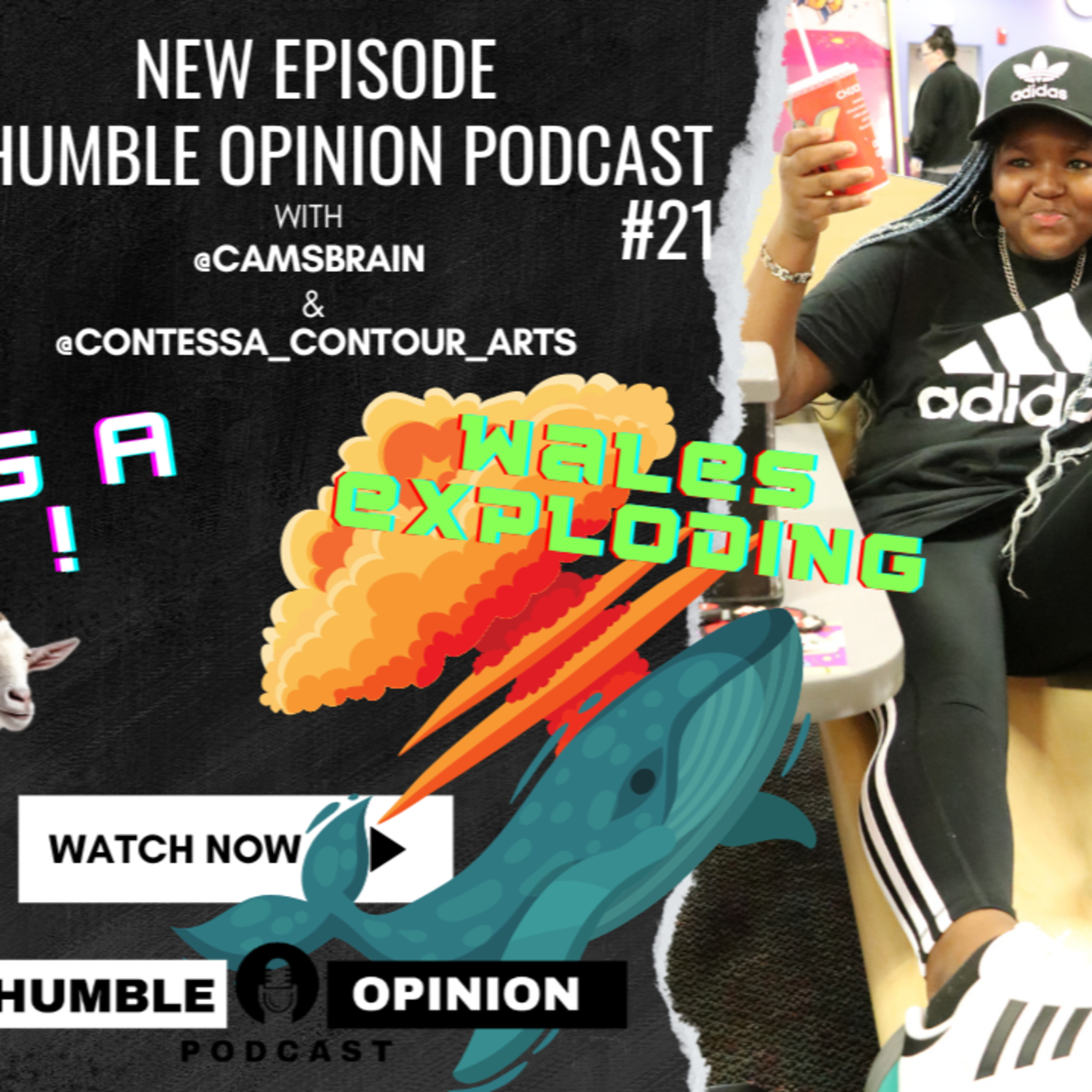 My Humble Opinion Eps #21 were buying a #goat @contessacontour heard a whale "sing" ! #viralvideo episode artwork
