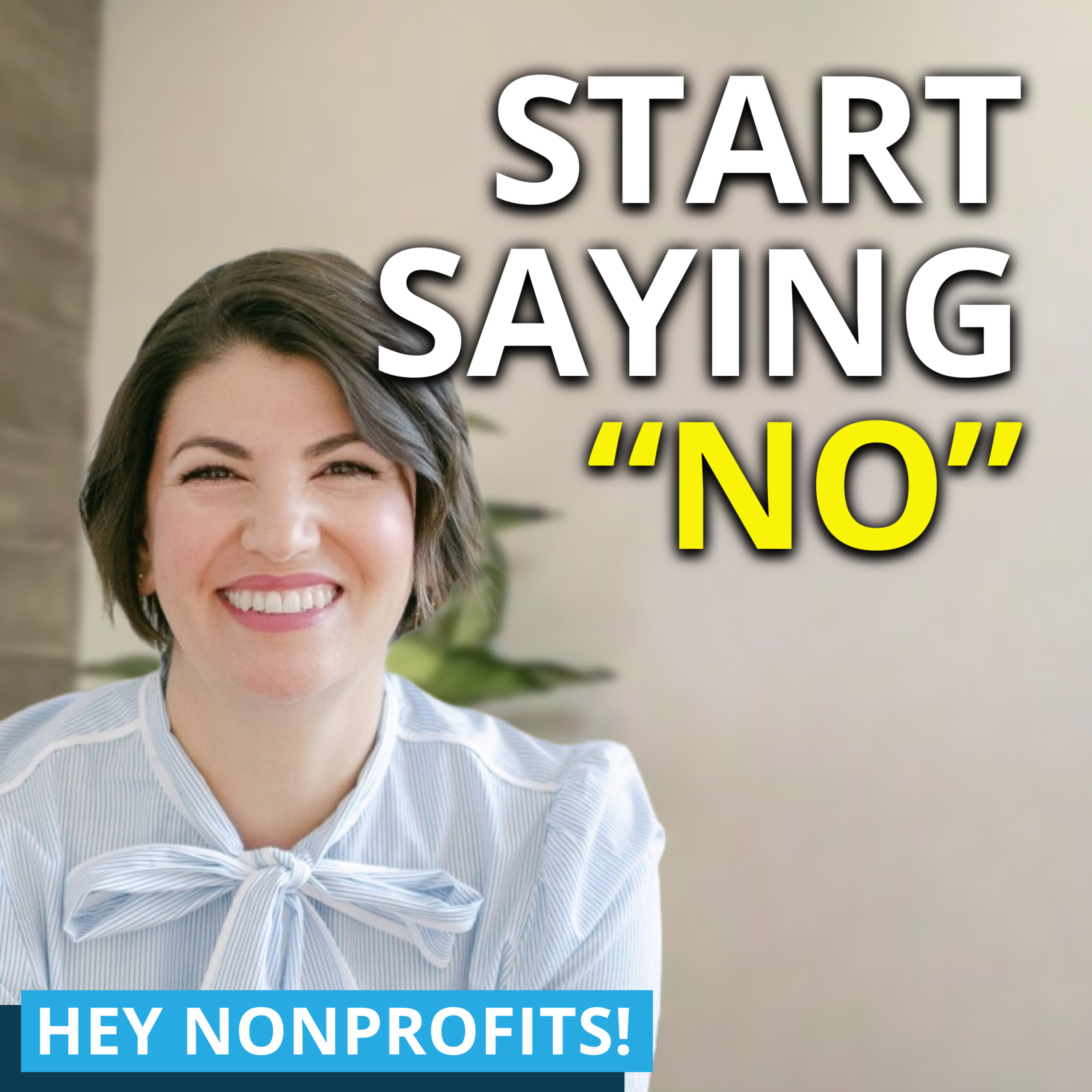 The Fractional Queen - Why Saying No Could Be the Best Decision for Your Nonprofit Career episode artwork