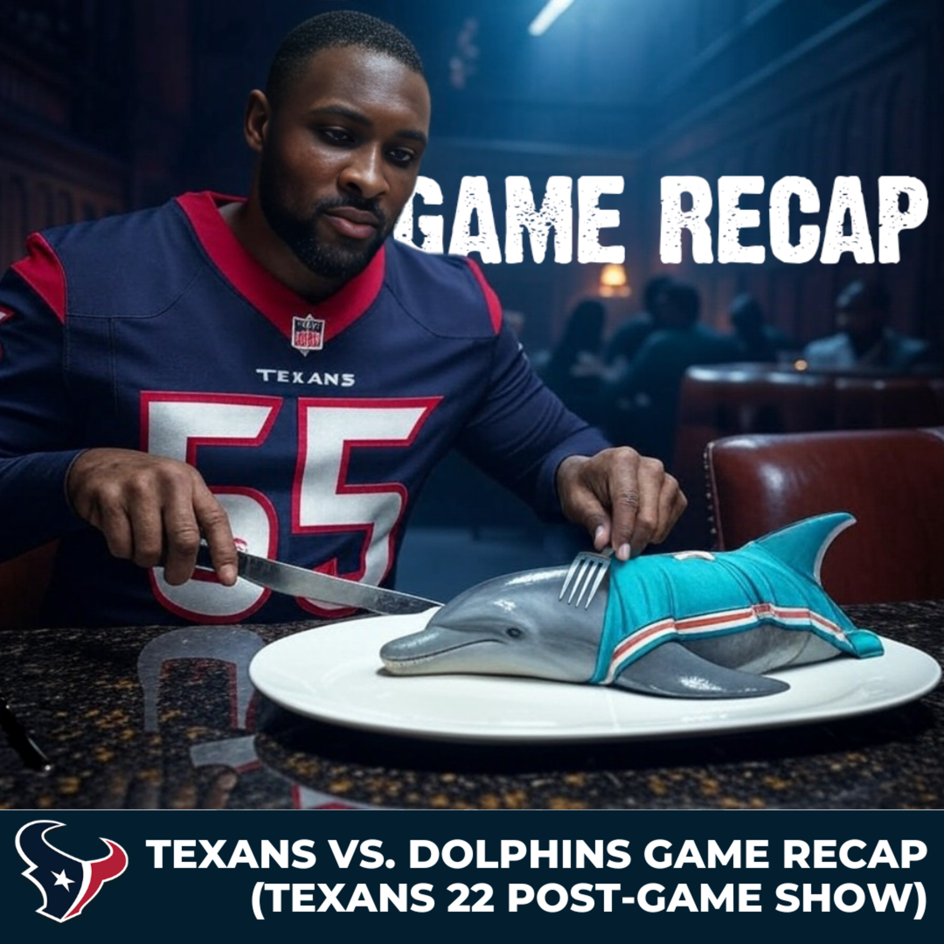 Texans 22 : A Houston Texans Podcast