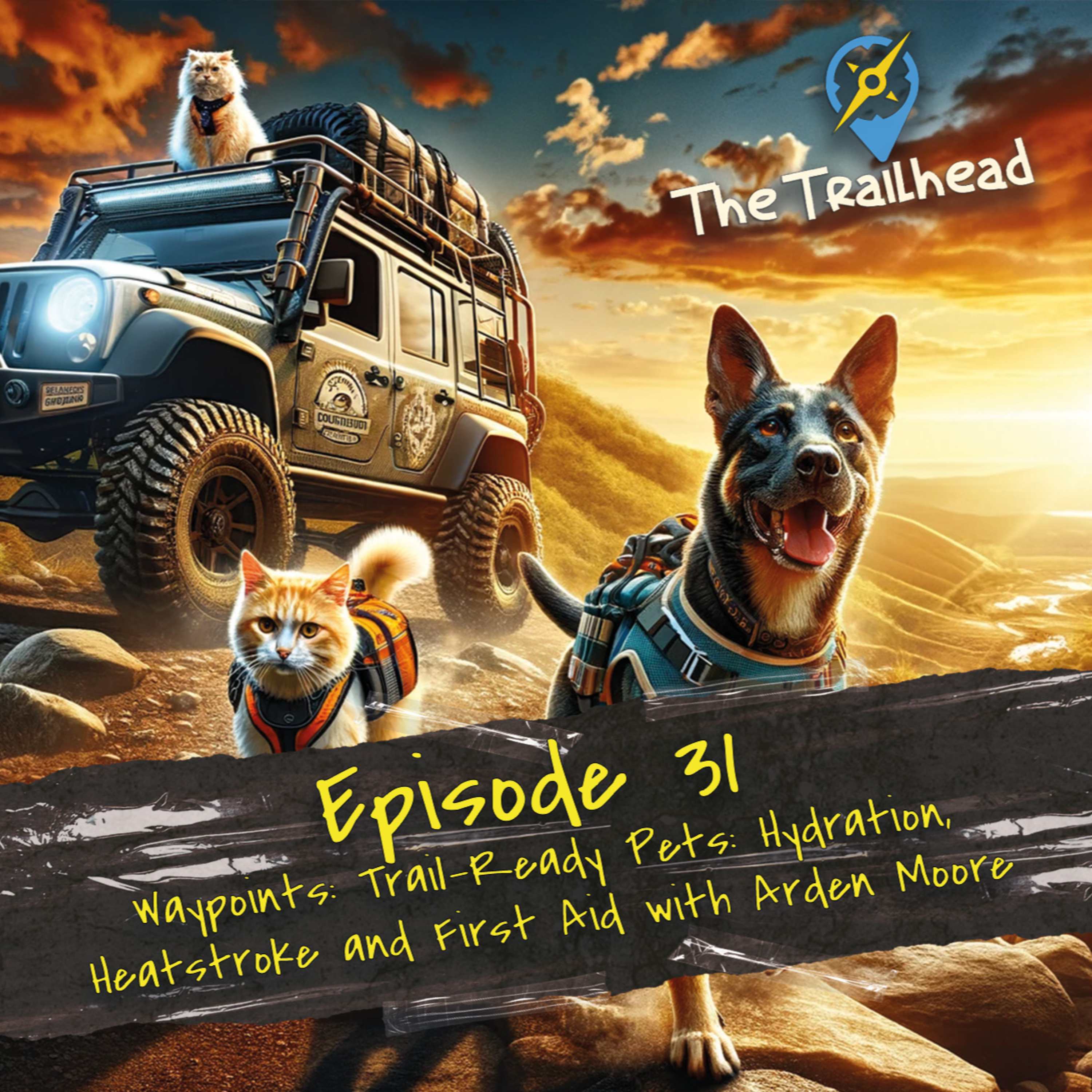 #31 Waypoints: Trail-Ready Pets: Hydration, Heatstroke, and First Aid with Arden Moore episode artwork