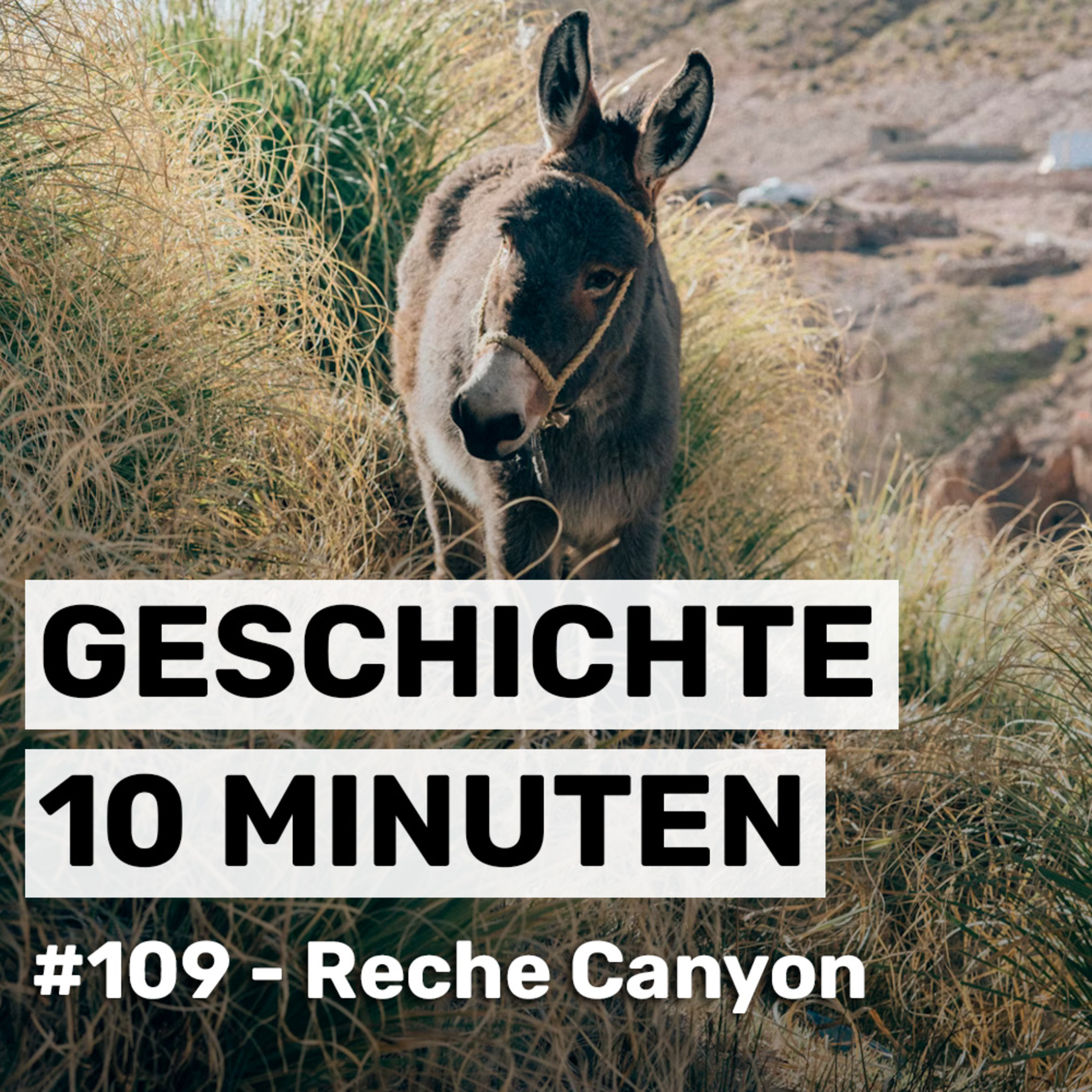 Geschichte 10 Minuten