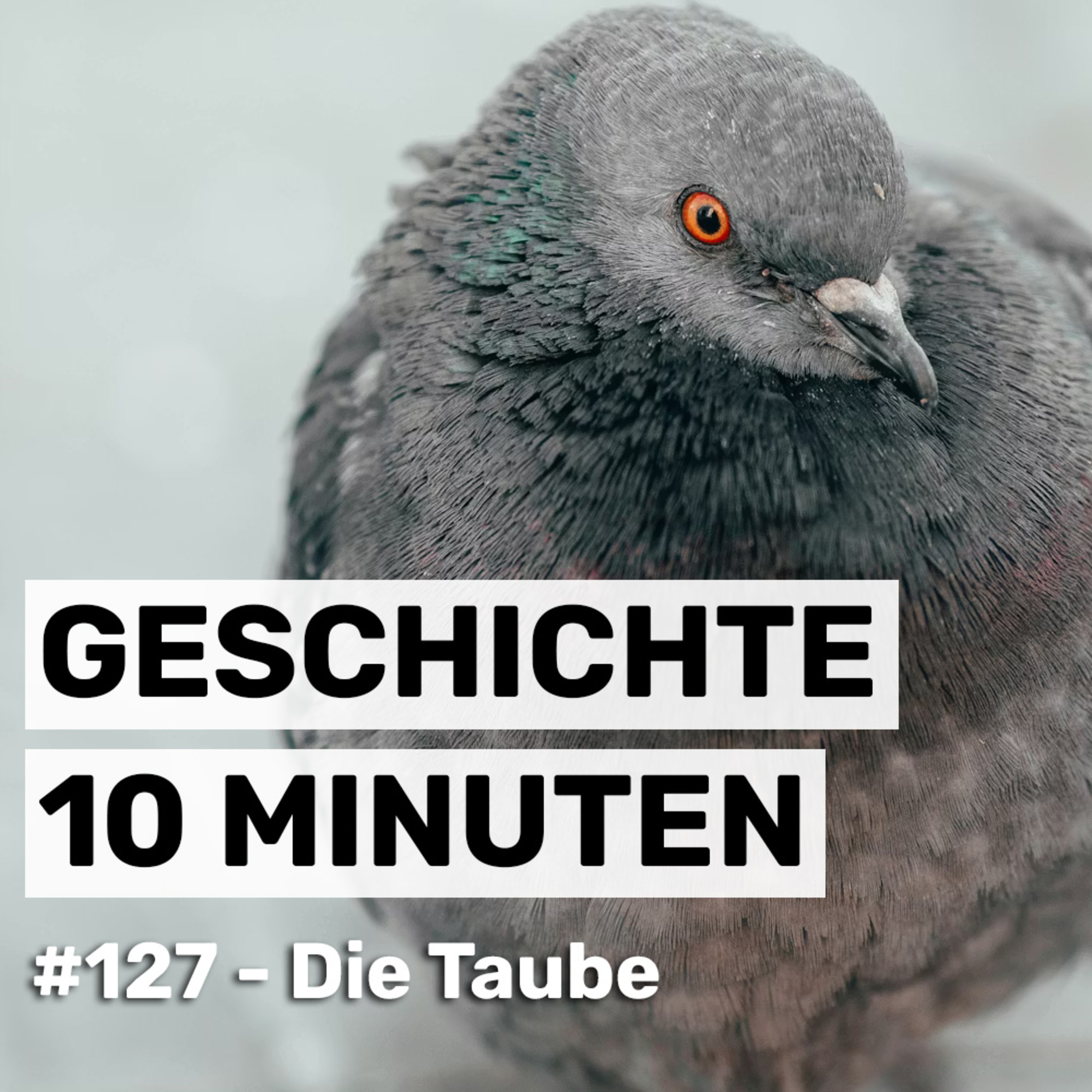 #127 - Die Taube episode artwork