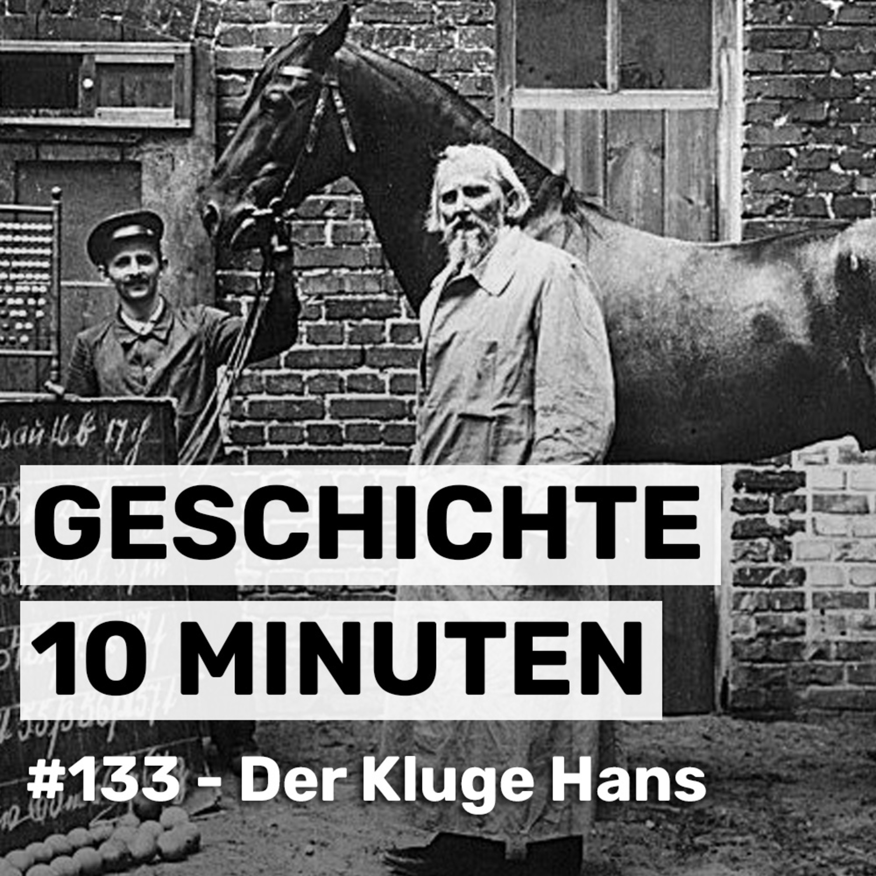Der Kluge Hans: Das Pferd, das rechnen konnte (#133) episode artwork