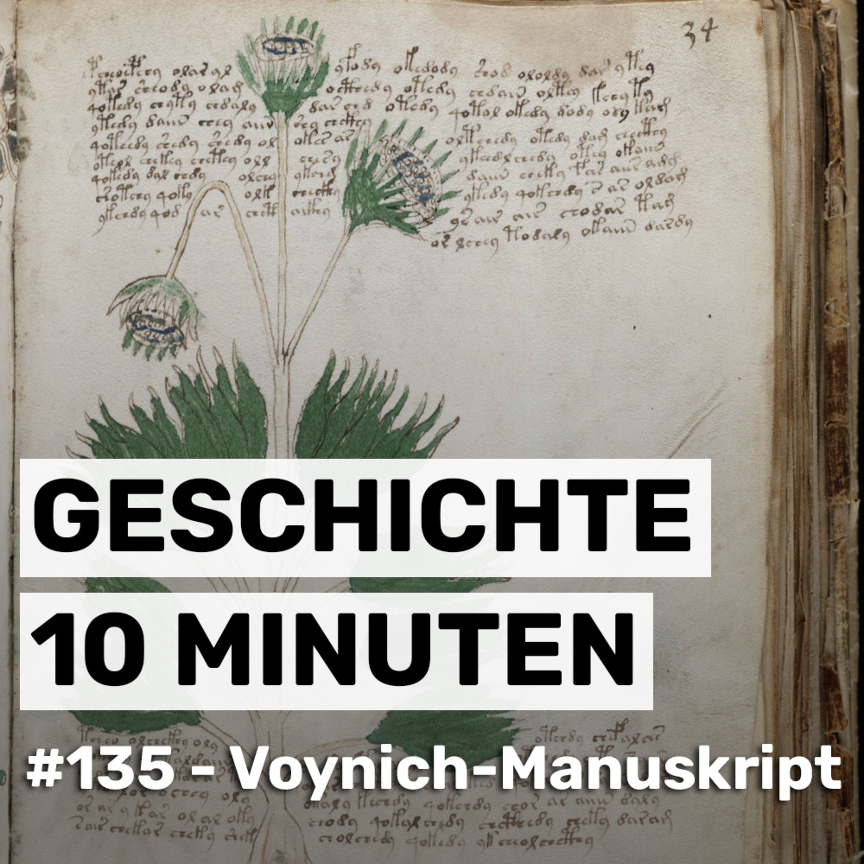 Das Voynich-Manuskript: Das Buch, das niemand lesen kann (#135) episode artwork