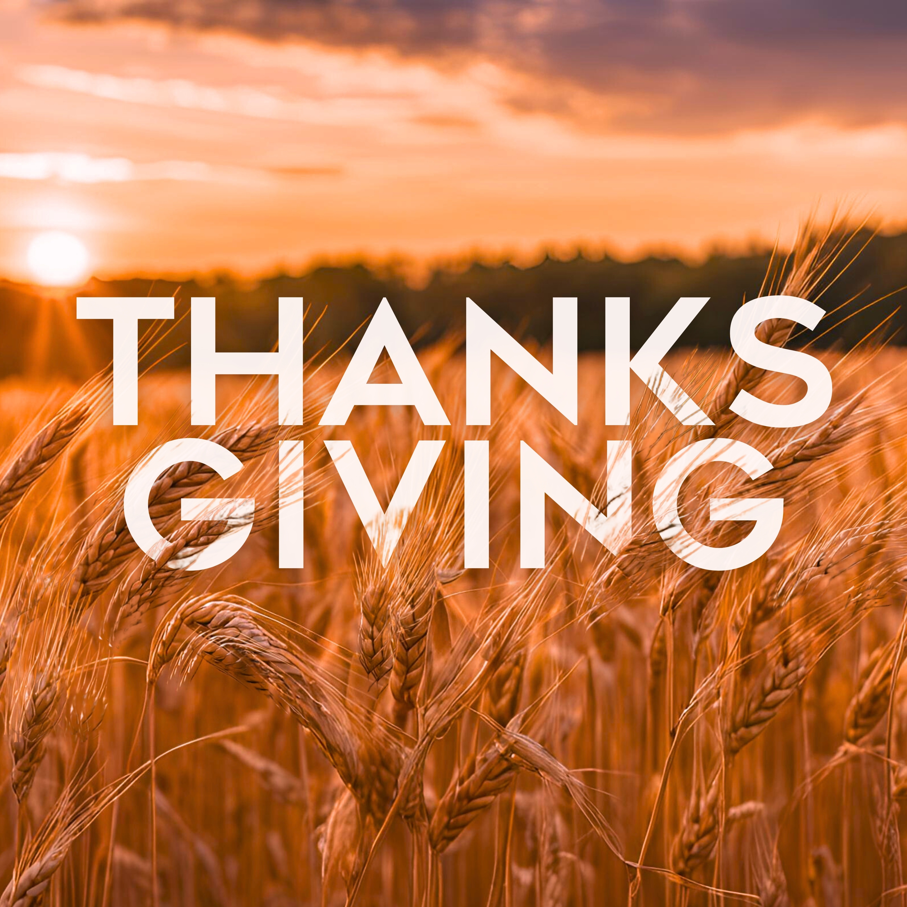 Peters Creek Baptist Church Sermons