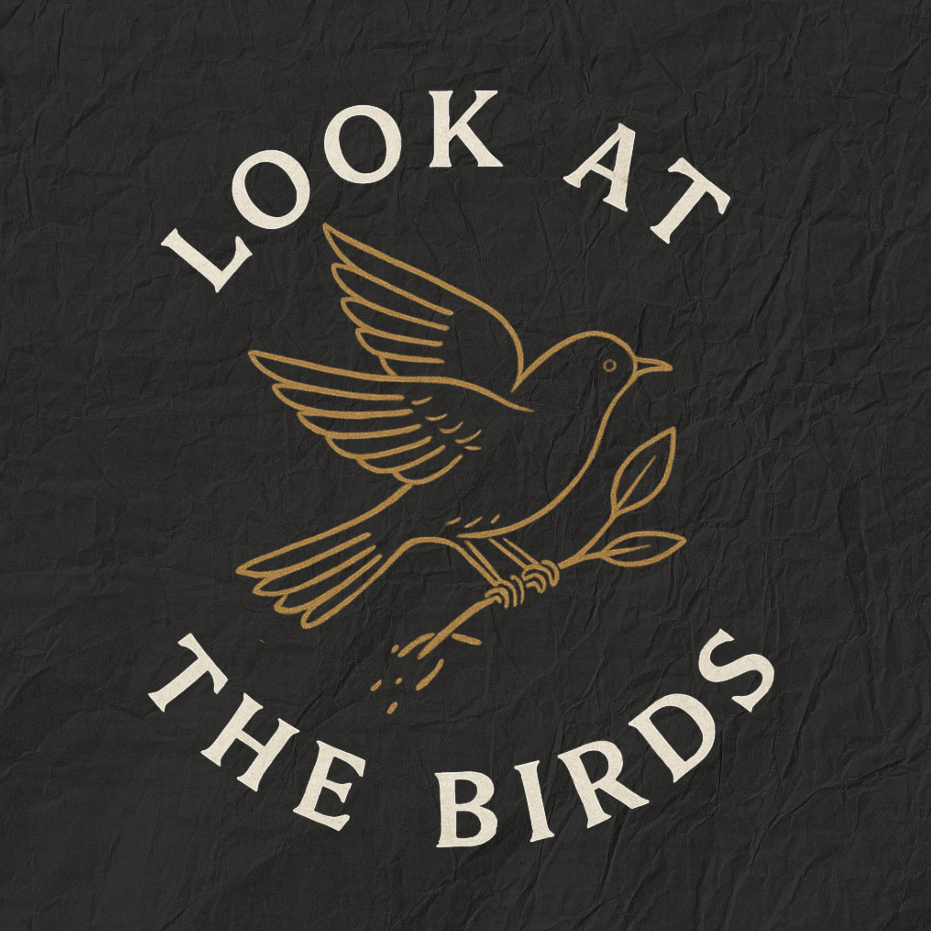 Look at the Birds- Week 2 episode artwork