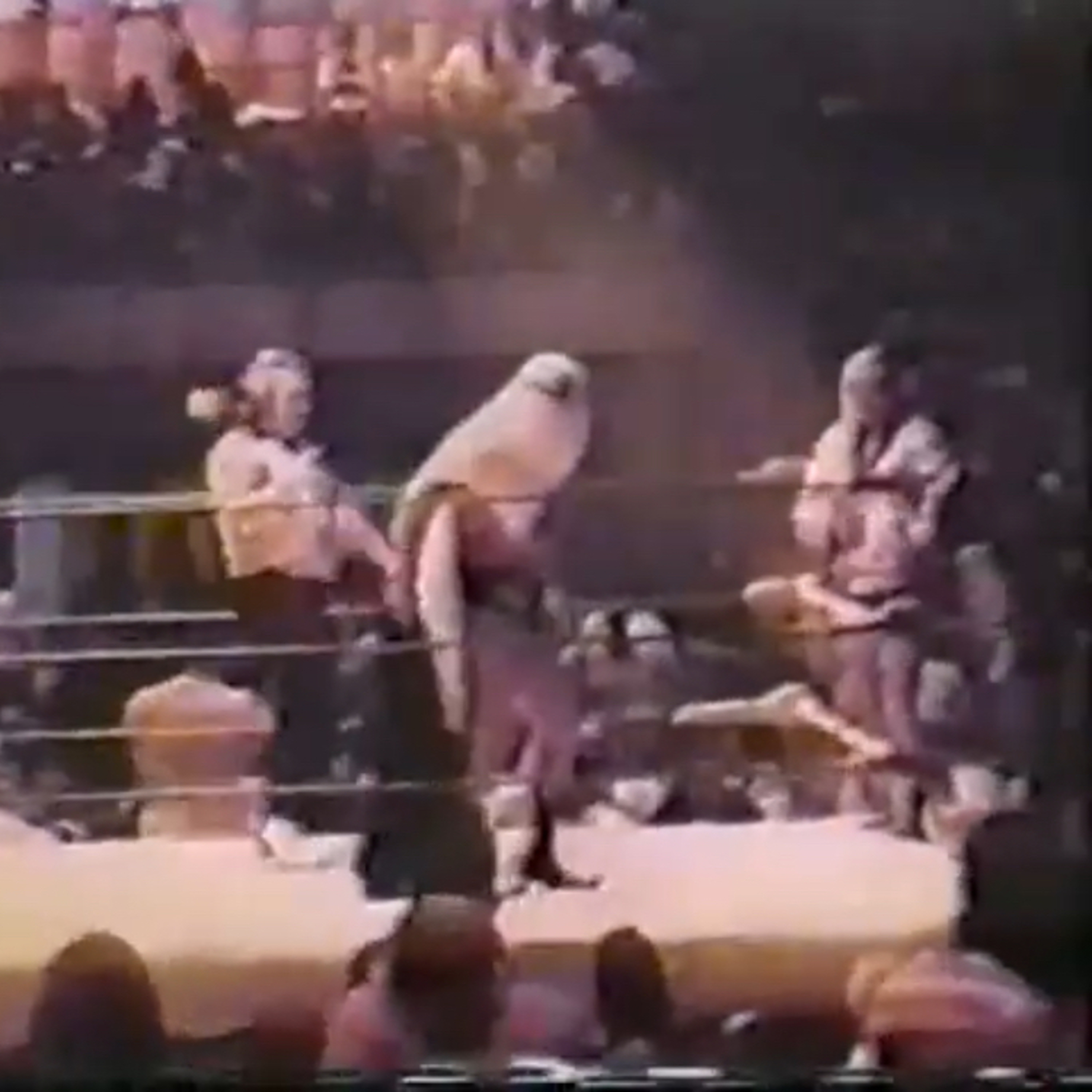 #78- WTF ANOTHER WRESTLING EPISODE Pt 5 Jackie Fargo/The Sheik 8/6/74 Louisville  episode artwork