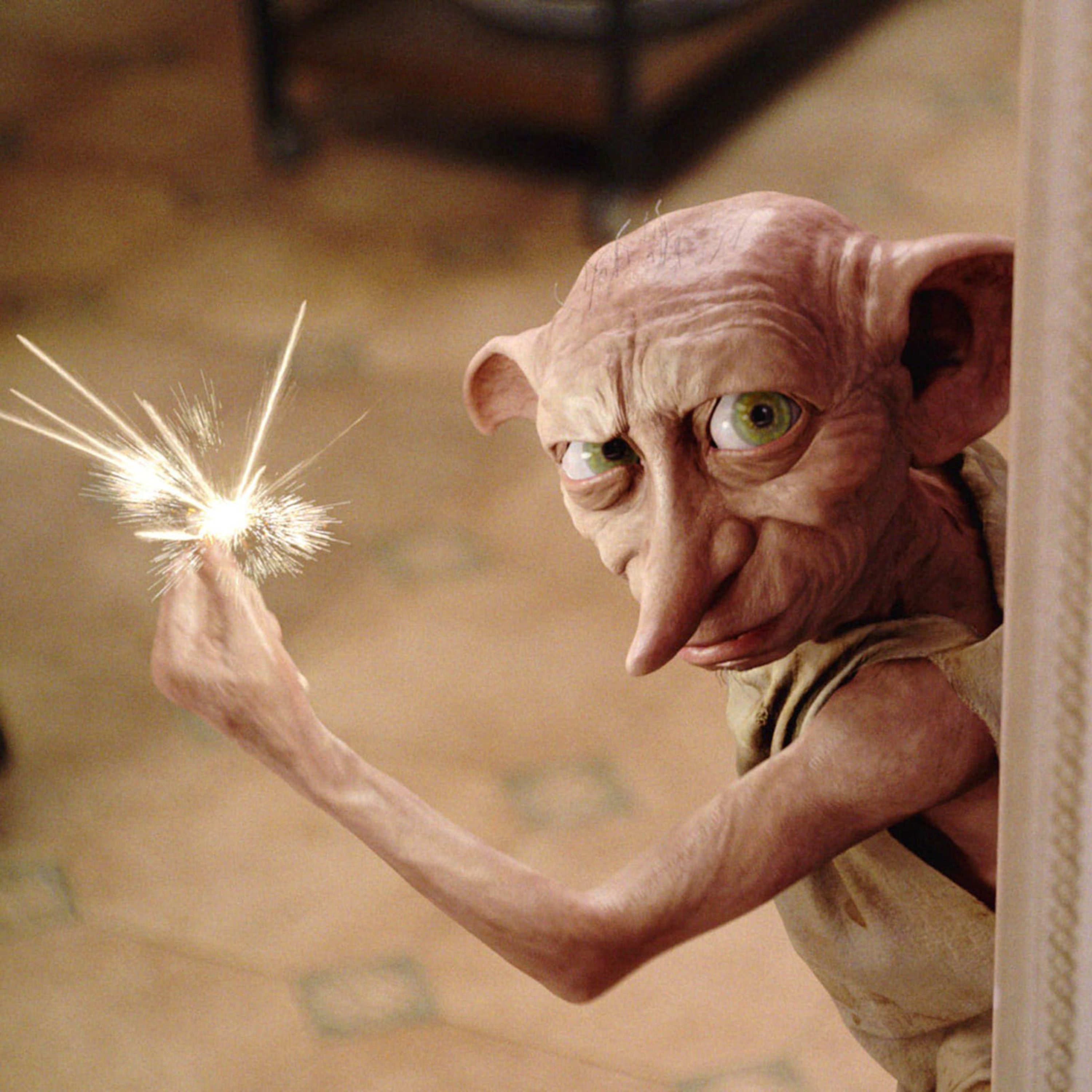 2.2 Dobby'nin Uyarısı