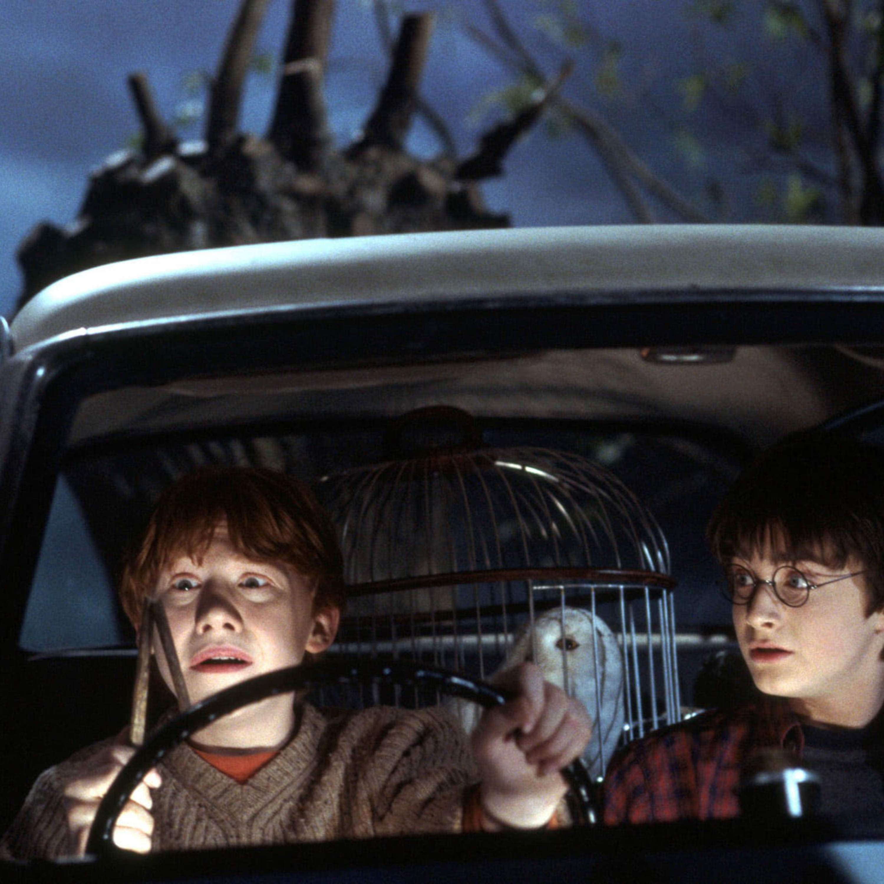 İhtiyaç Odası: Bir Harry Potter Podcasti