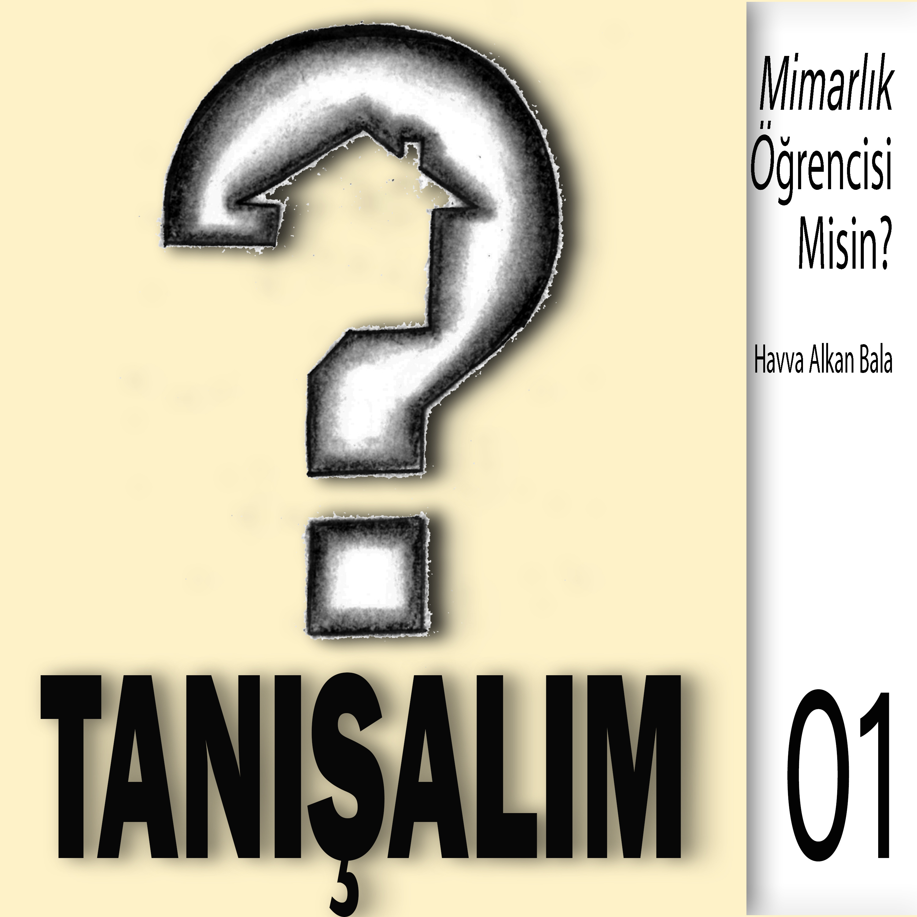 MİMARLIK ÖĞRENCİSİ MİSİN?