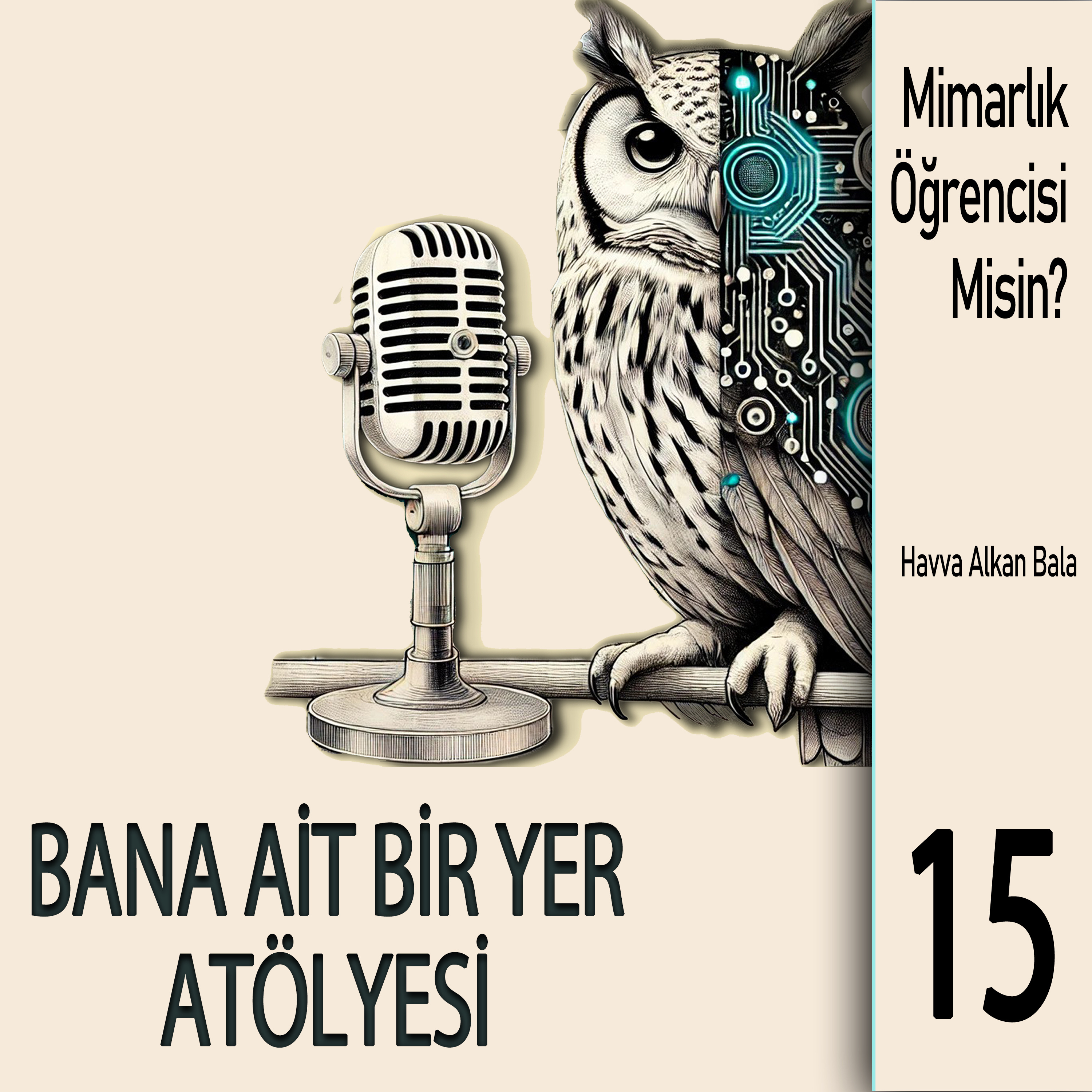 MİMARLIK ÖĞRENCİSİ MİSİN?