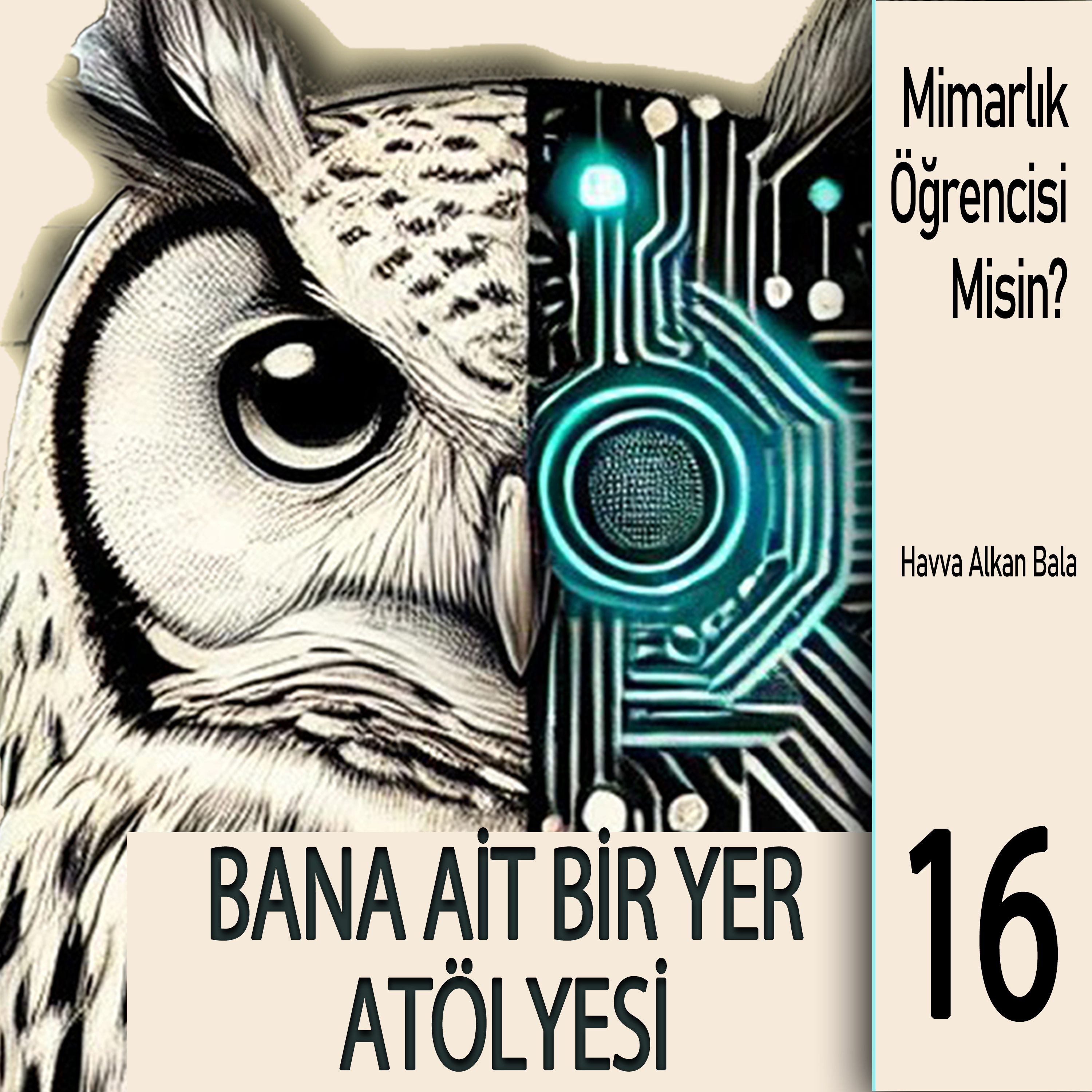 MİMARLIK ÖĞRENCİSİ MİSİN?