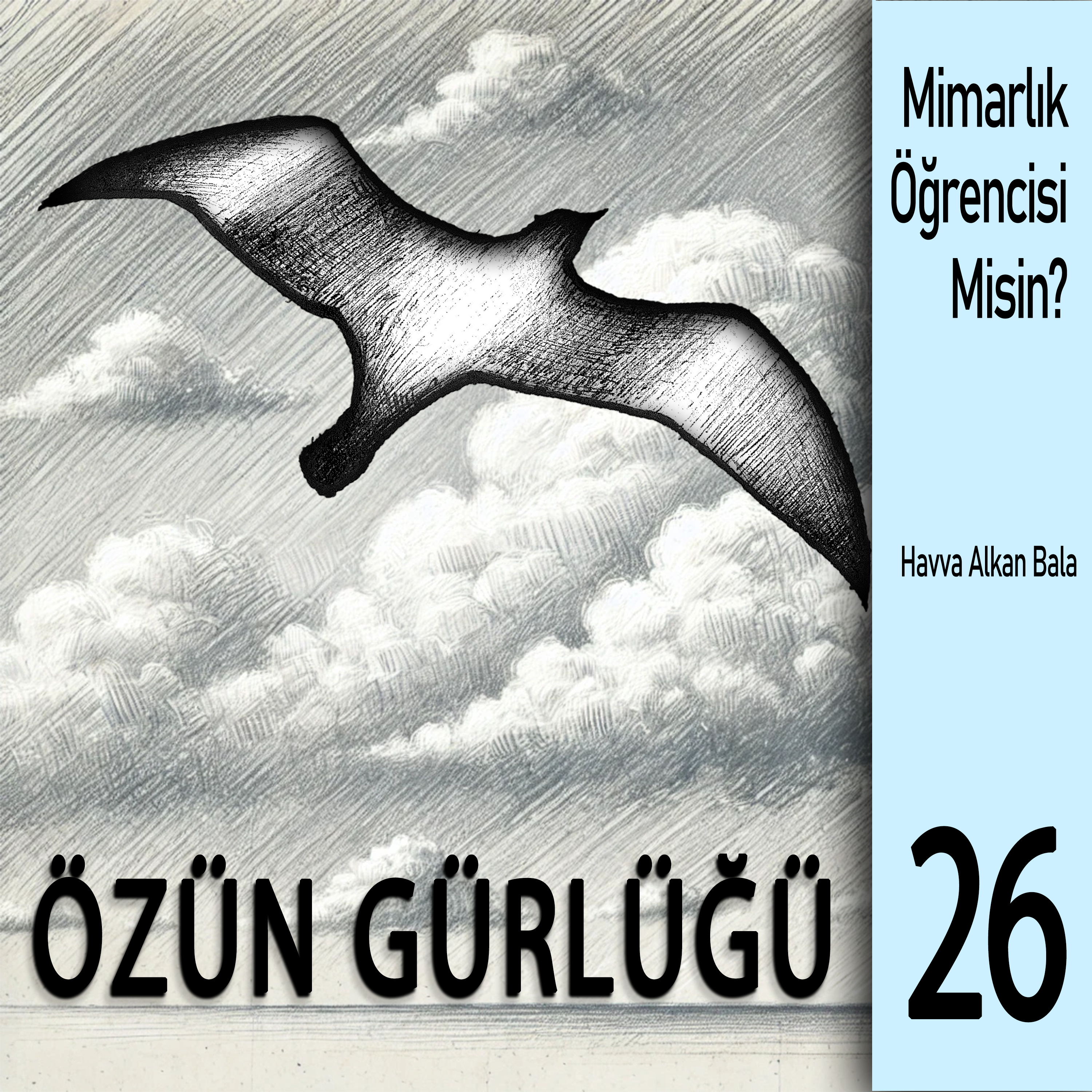 MİMARLIK ÖĞRENCİSİ MİSİN?
