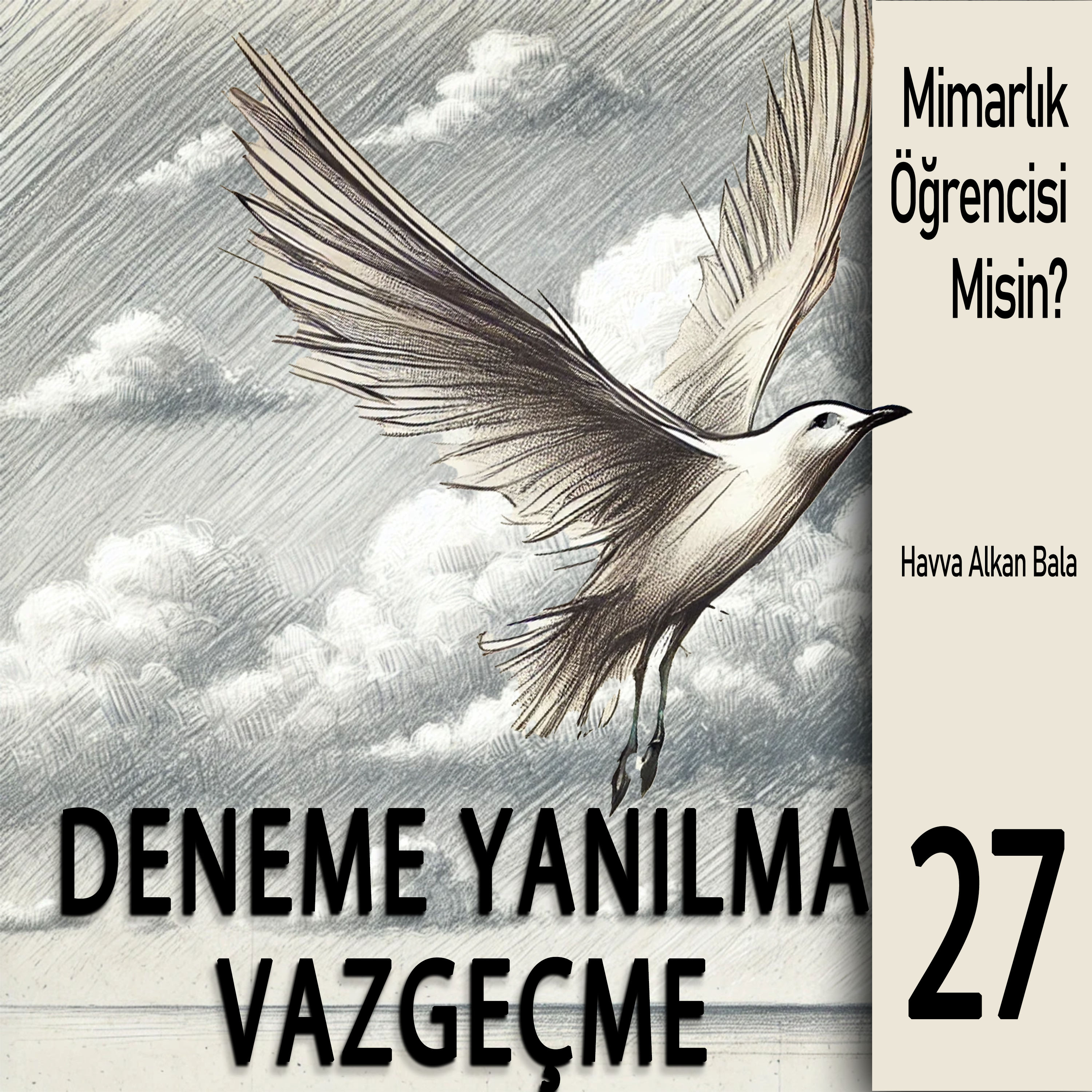 MİMARLIK ÖĞRENCİSİ MİSİN?