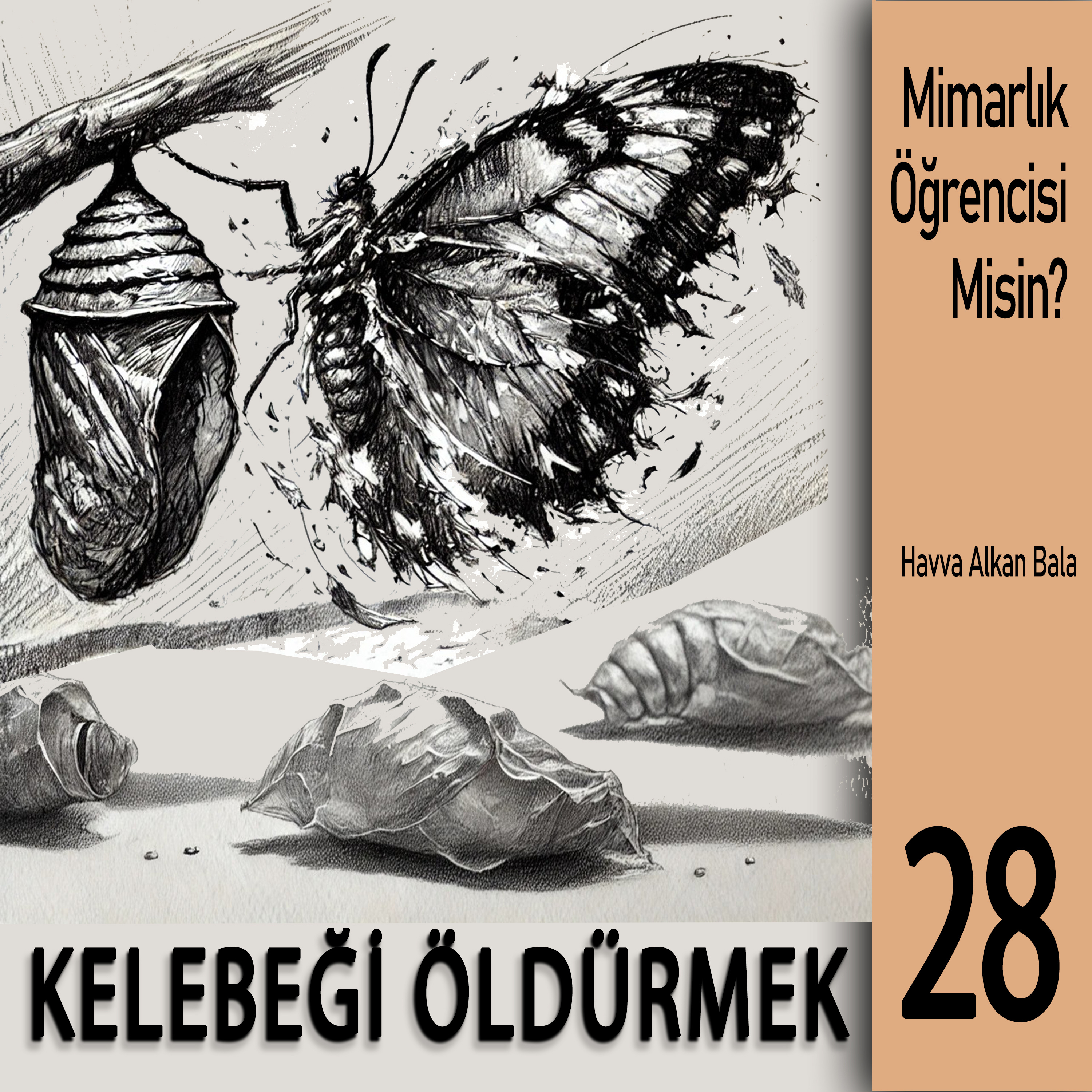 MİMARLIK ÖĞRENCİSİ MİSİN?