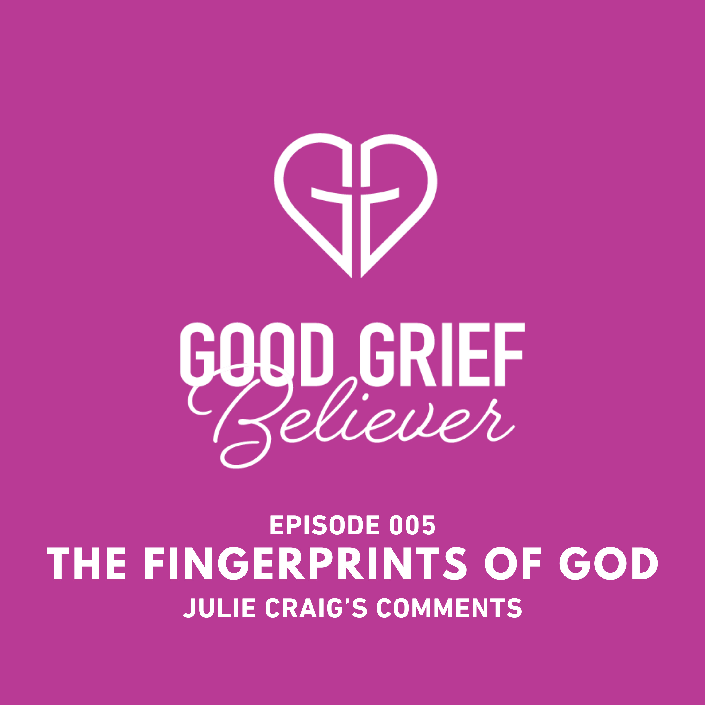 The Fingerprints of God - Julie Craig's Comments episode artwork