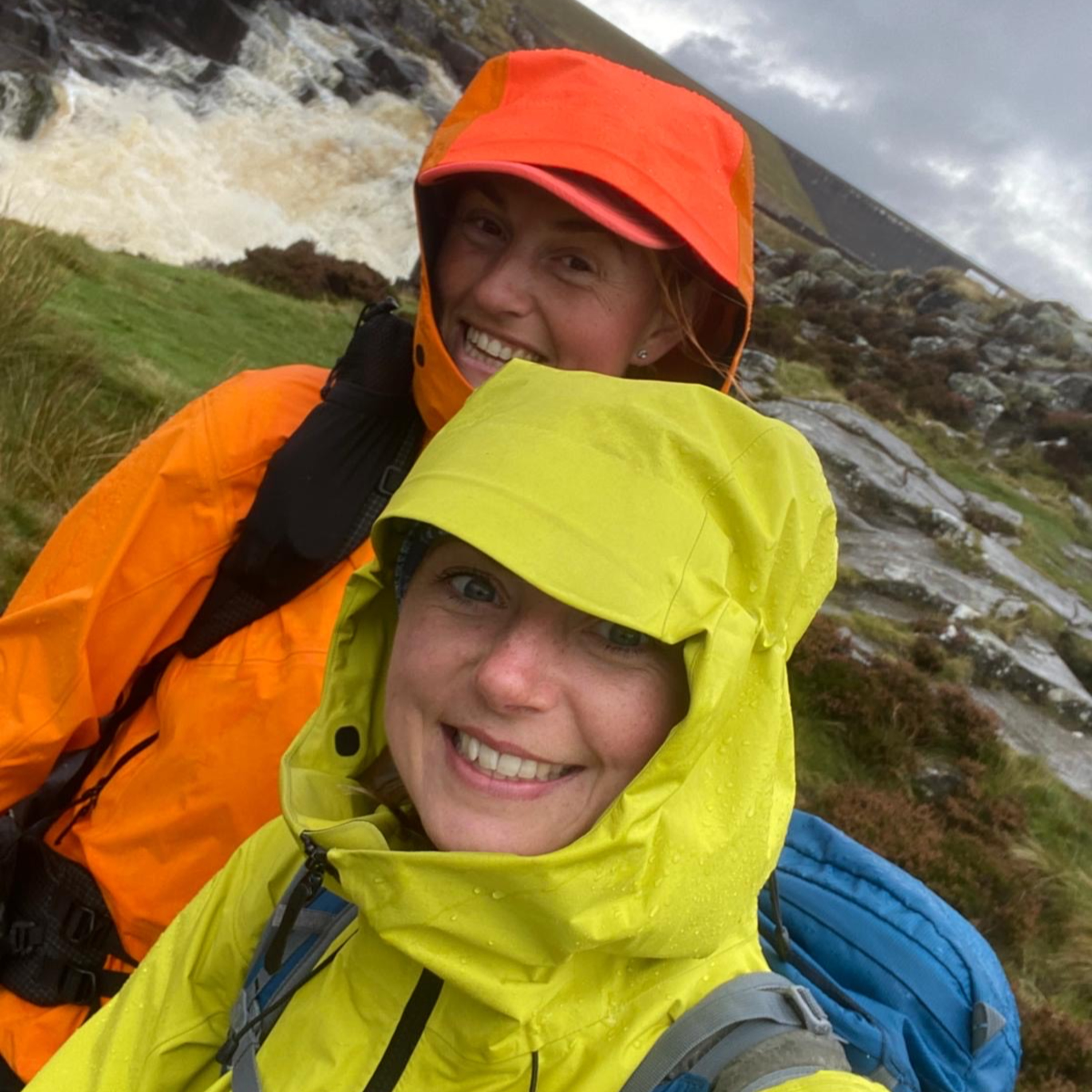 The Yorkie Talkies Talk