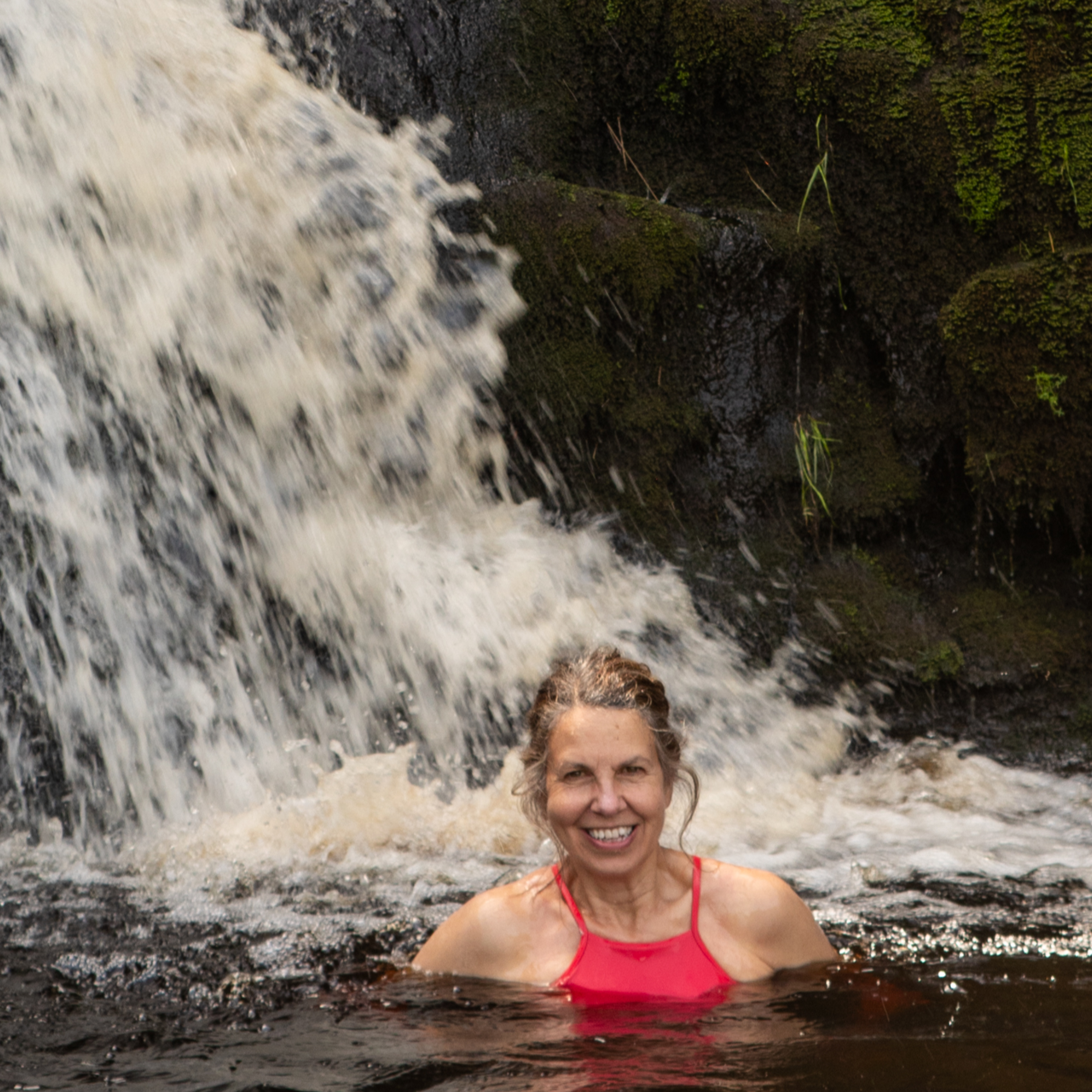 The Yorkie Talkies Talk