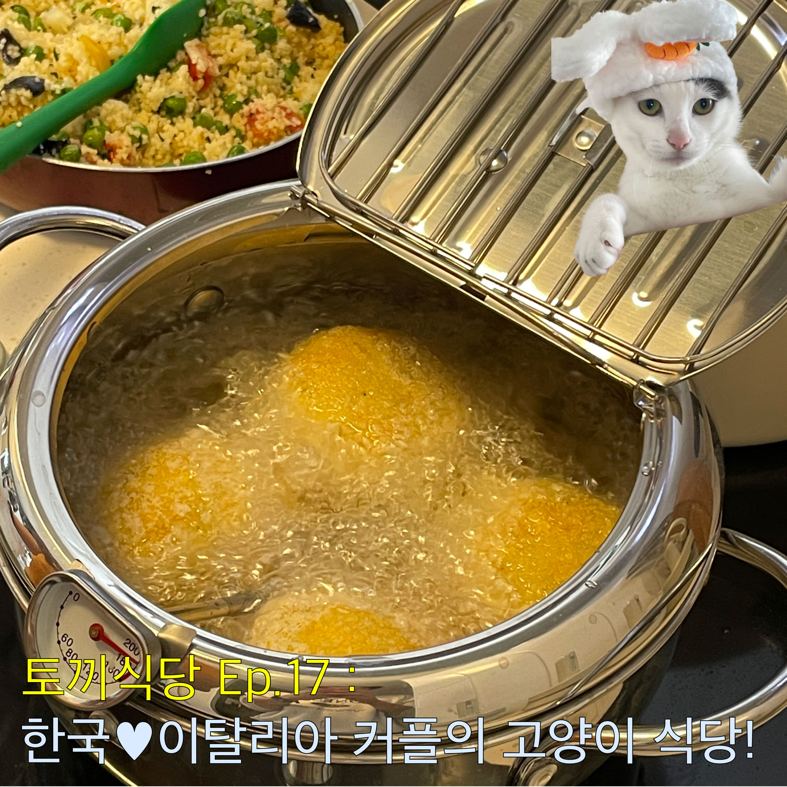 토끼식당 Ep.17 : 한국♥이탈리아 커플의 고양이 식당! episode artwork