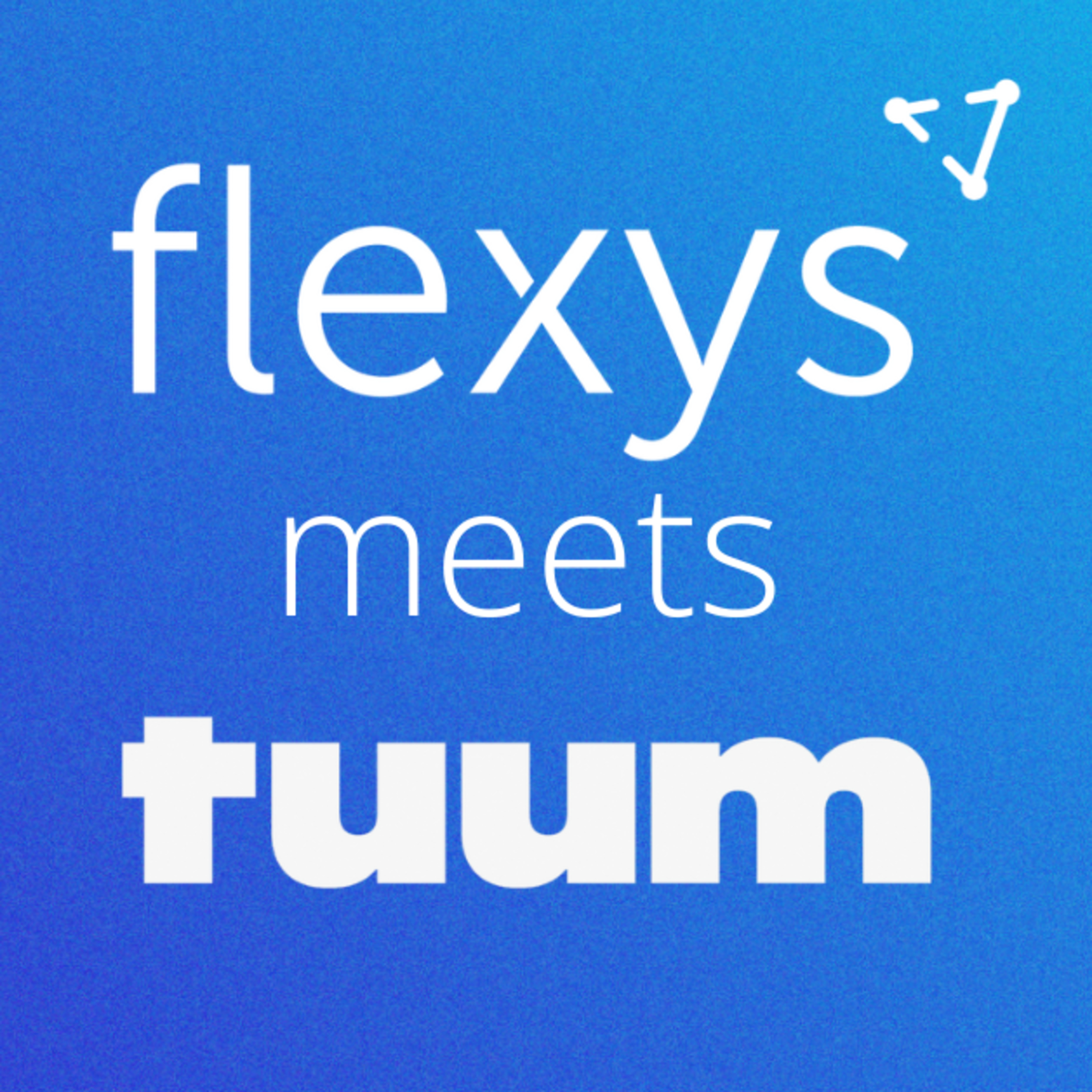 Flexys Meets...