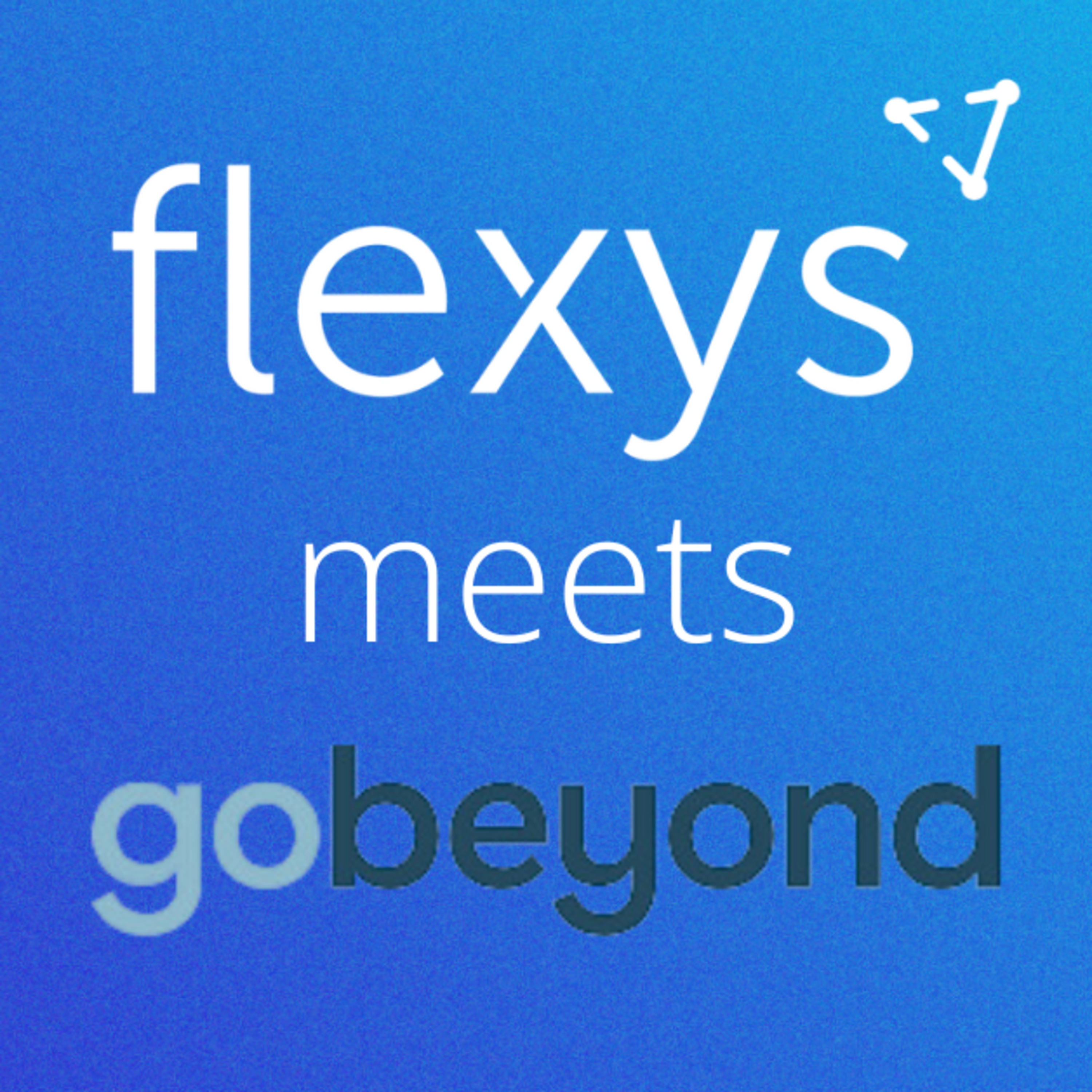 Flexys Meets...
