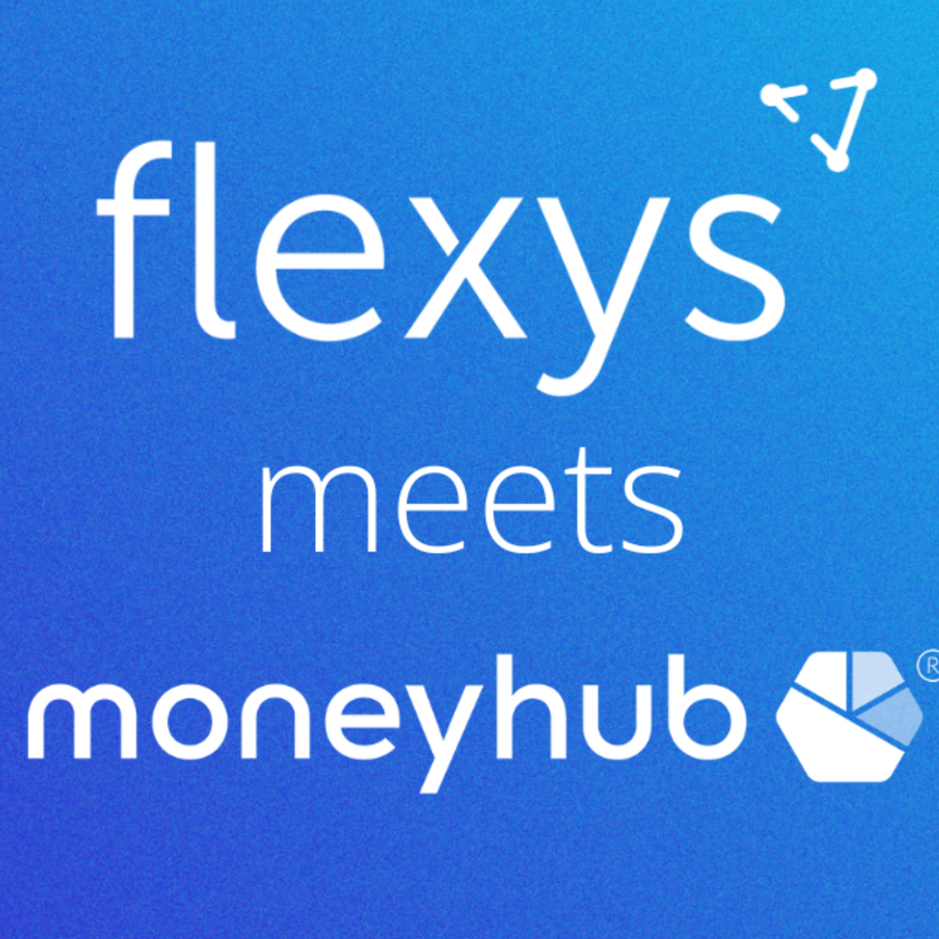 Flexys Meets...