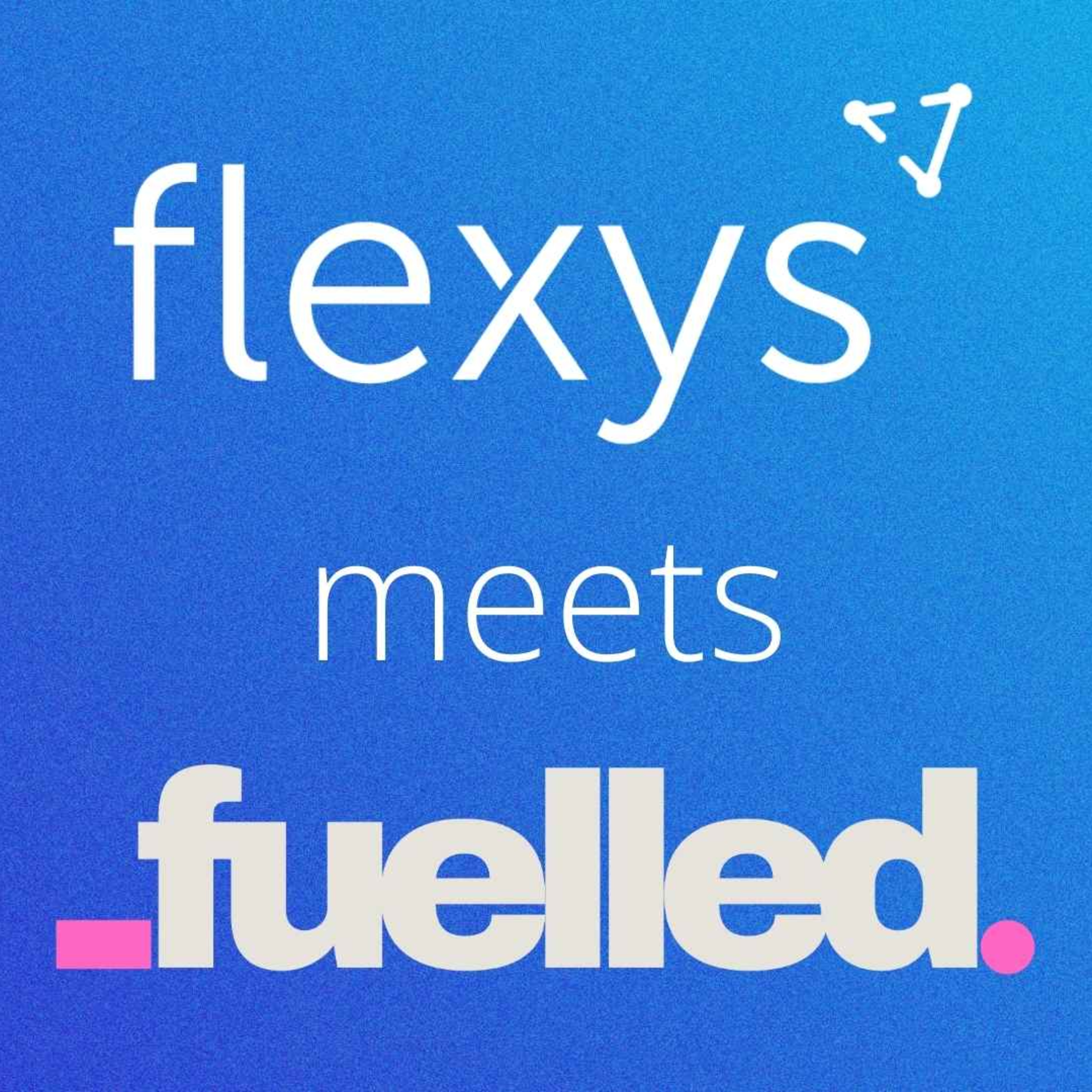 Flexys Meets...