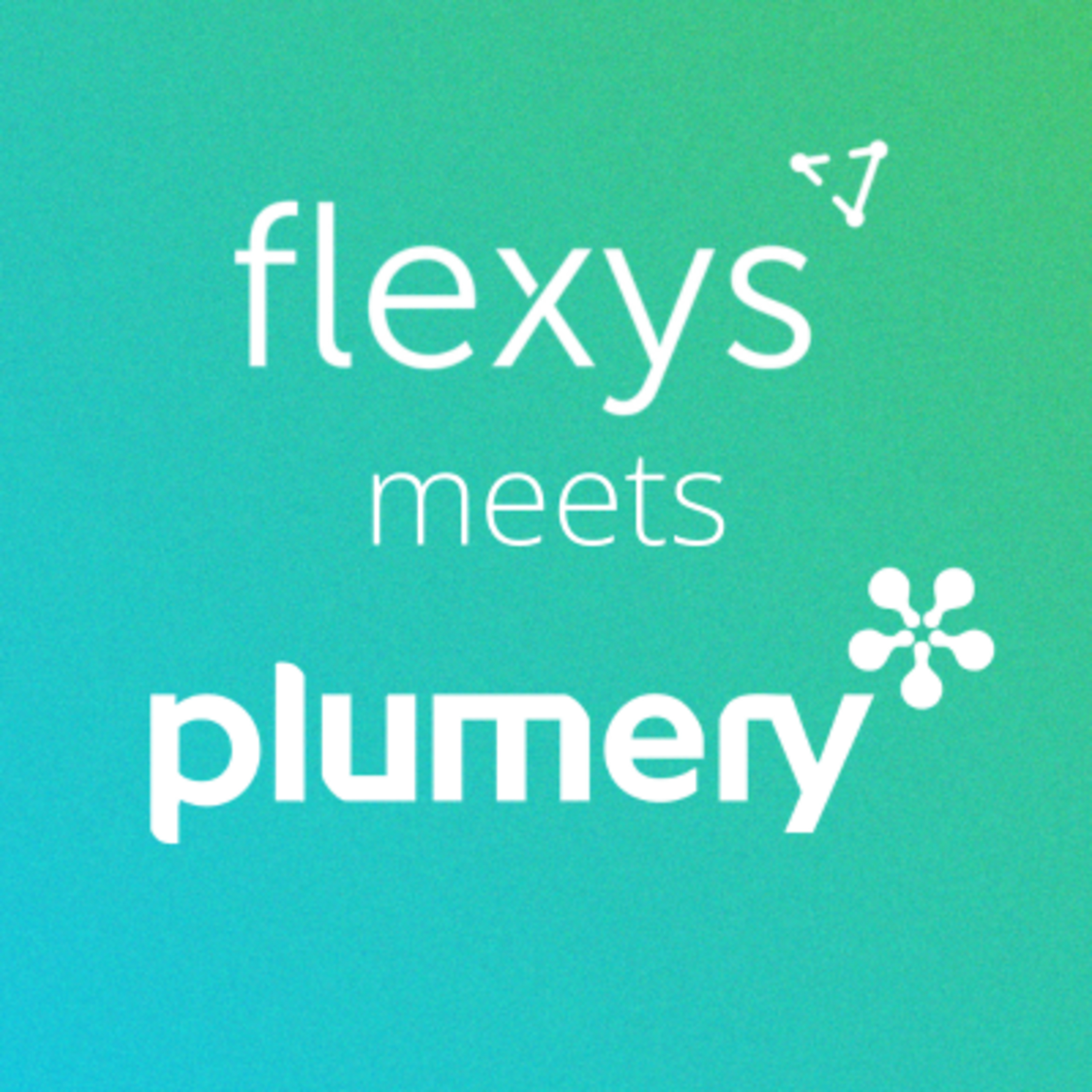 Flexys Meets...