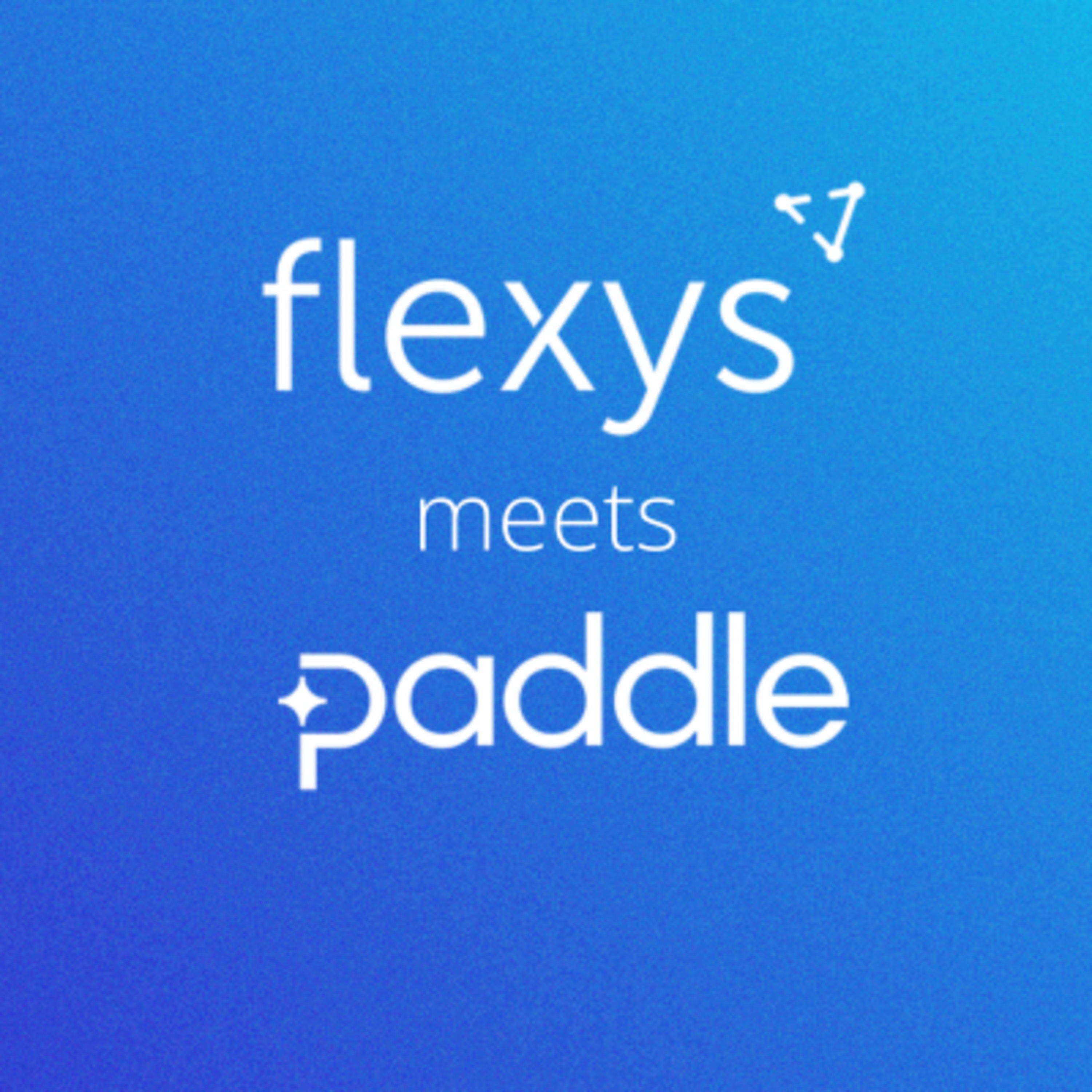 Flexys Meets...