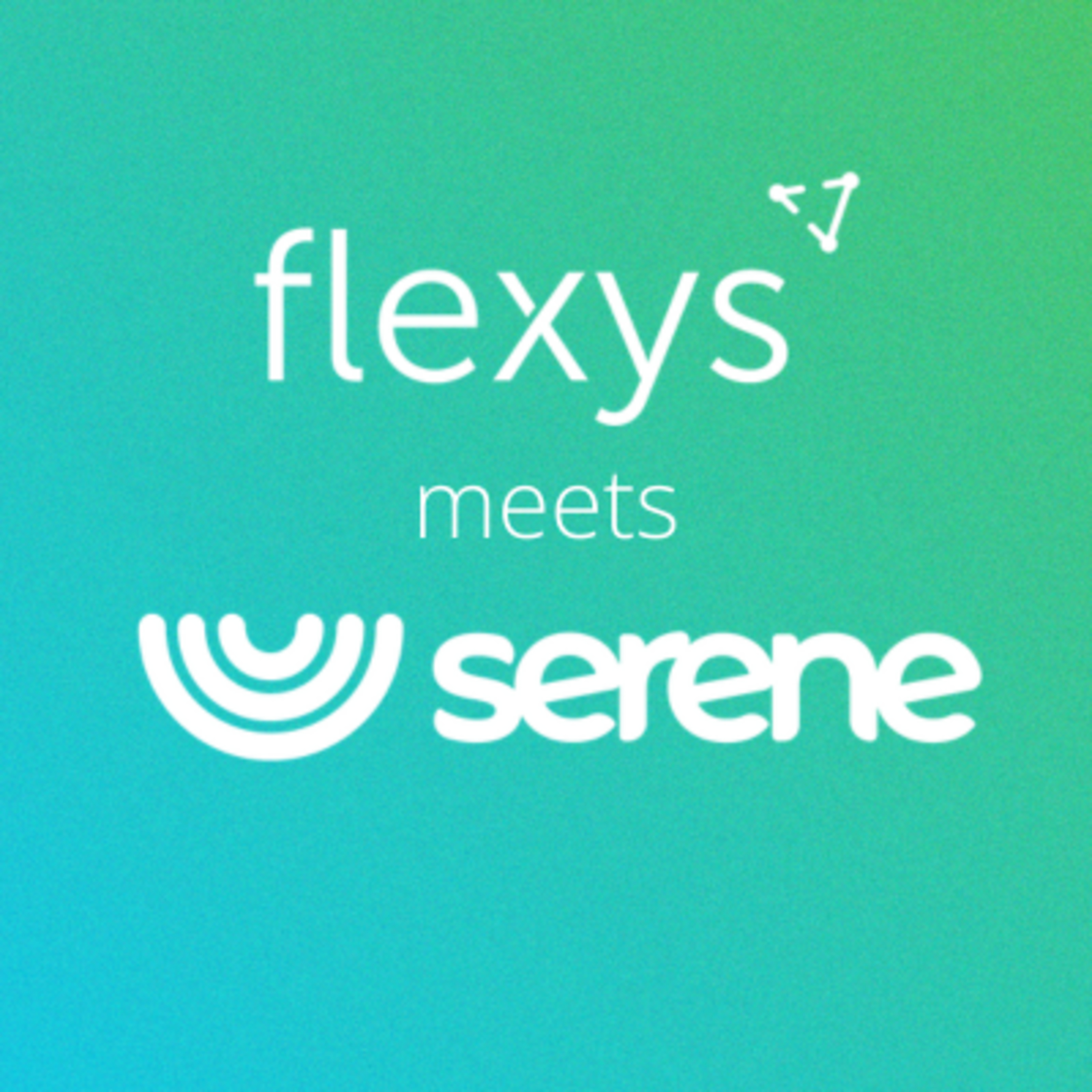 Flexys Meets...