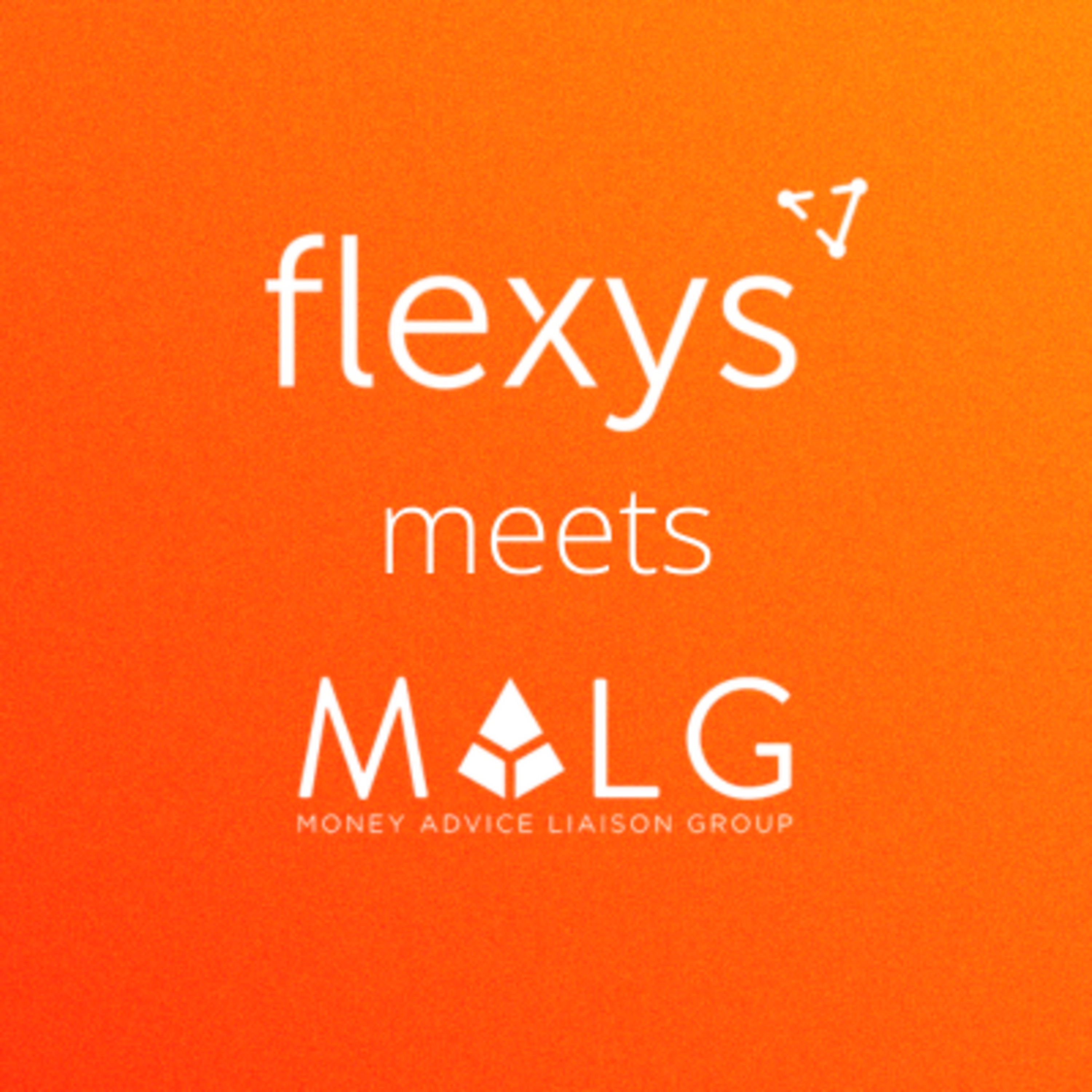 Flexys Meets...