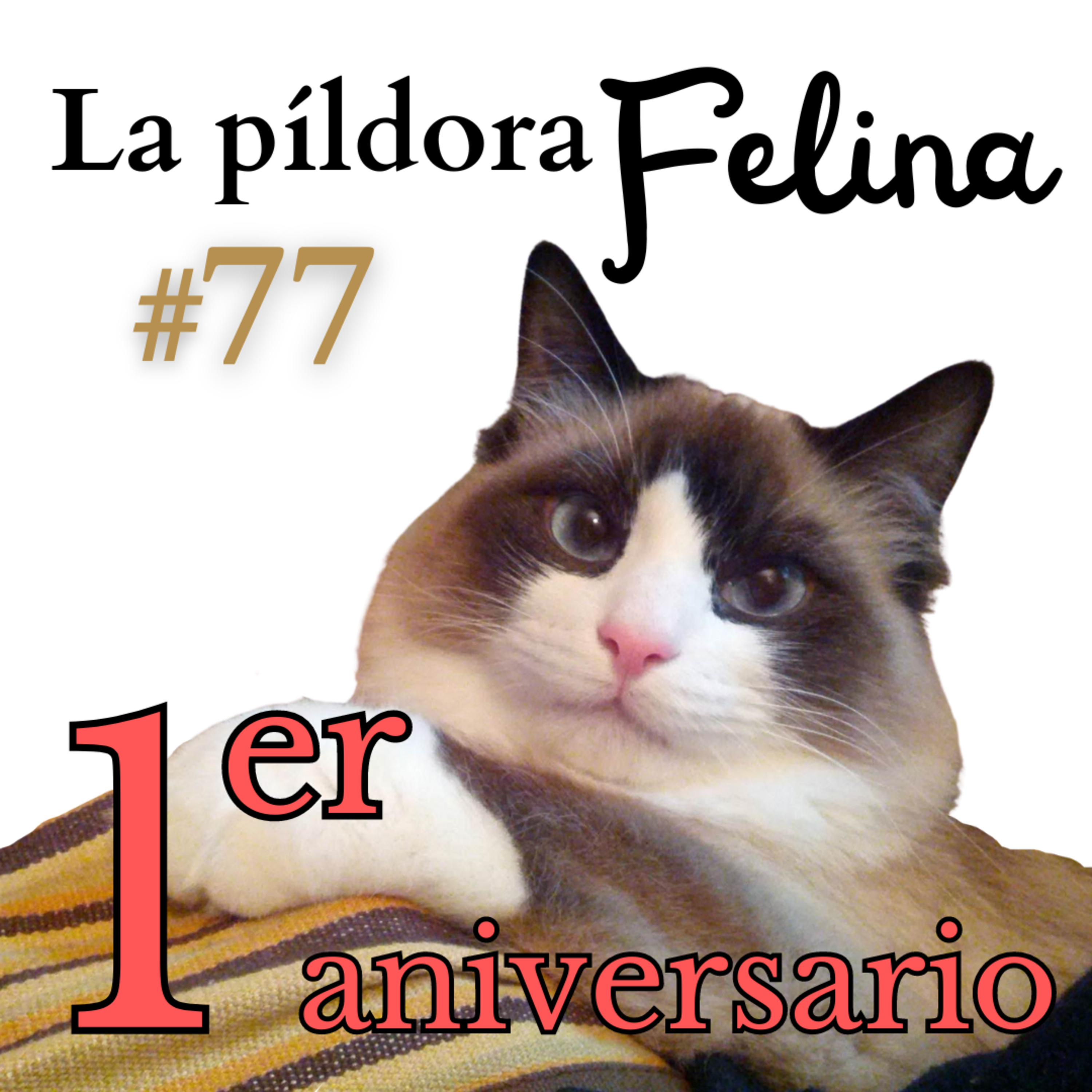 Imagen del episodio 77. 1er cumpleaños del Podcast y Analíticas generales