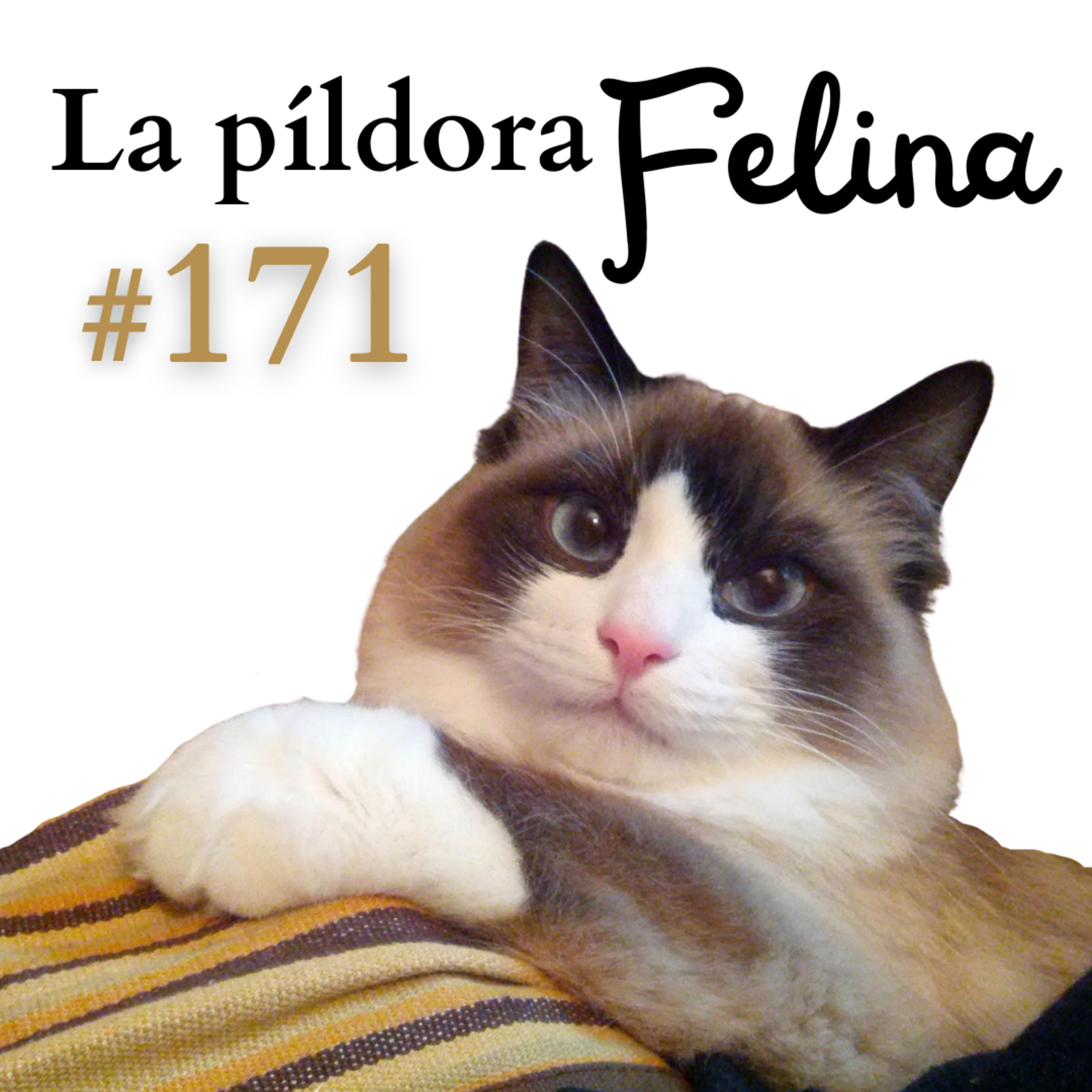 Imagen del episodio 171. Leucemia Felina