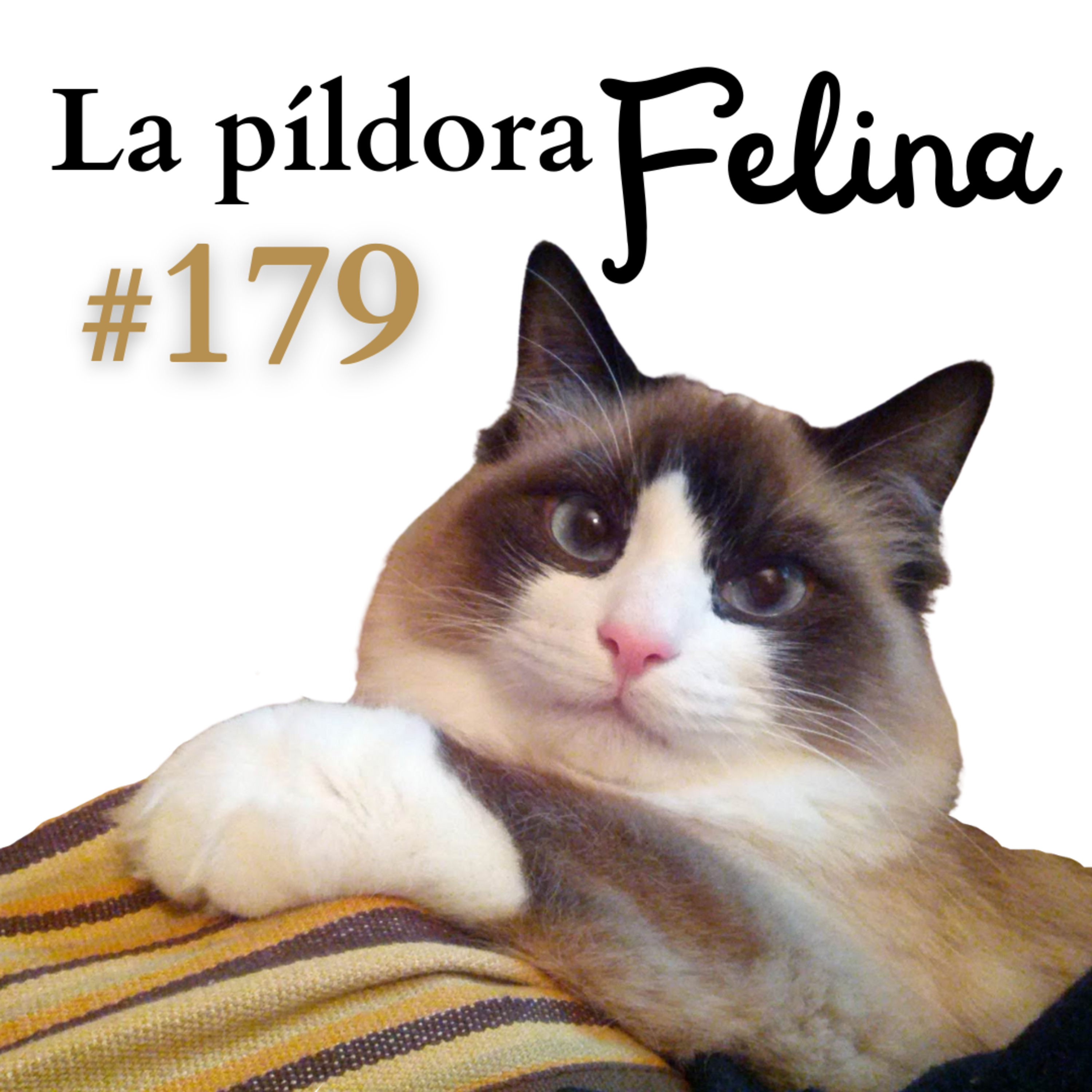 Imagen del episodio 179. La suegra, los sobrinos y otros invitados en LA CASA DE TU GATO
