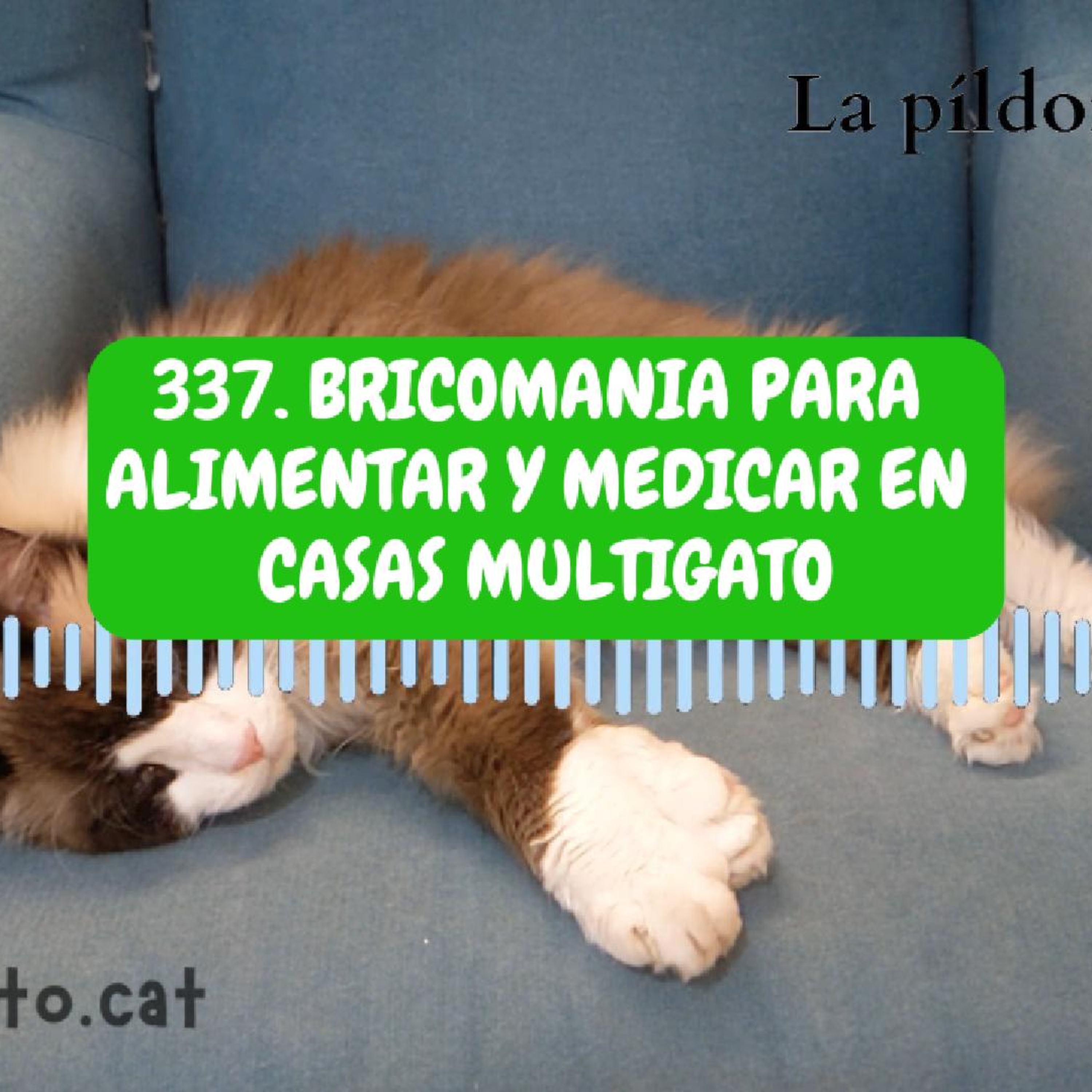 Imagen del episodio 337. BRICOMANIA para alimentar y medicar en casas MULTIGATO