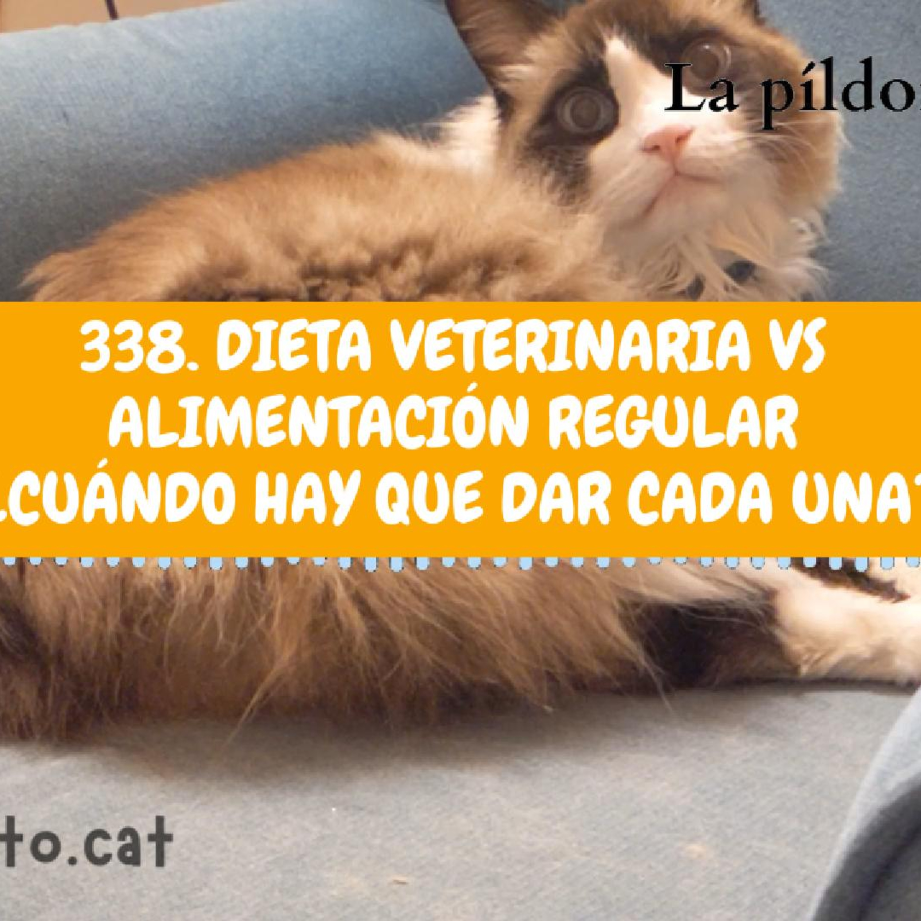 Imagen del episodio 338. Dieta veterinaria VS Alimentación regular ¿cuándo hay que dar cada una?