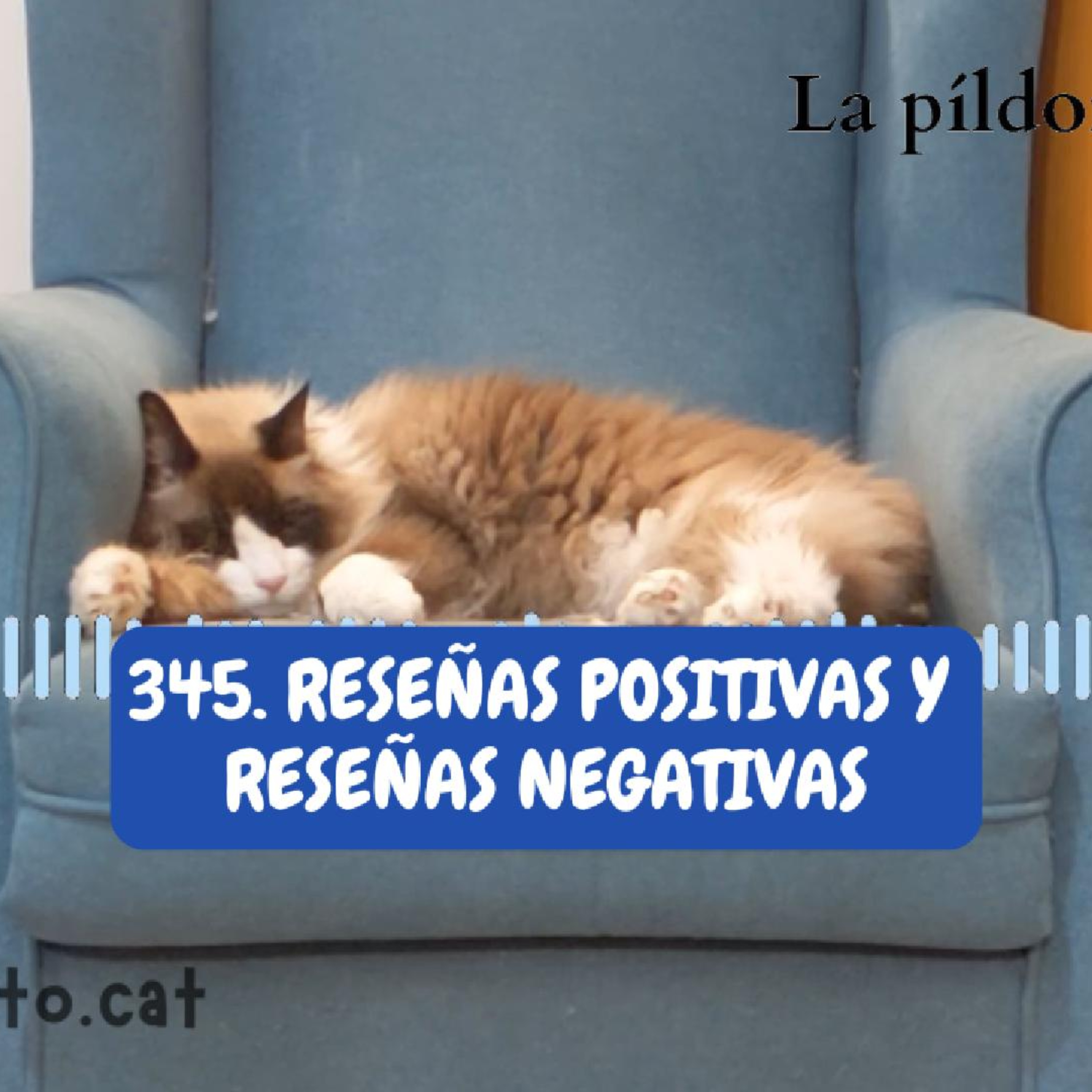 Imagen del episodio 345. Reseñas positivas y reseñas negativas