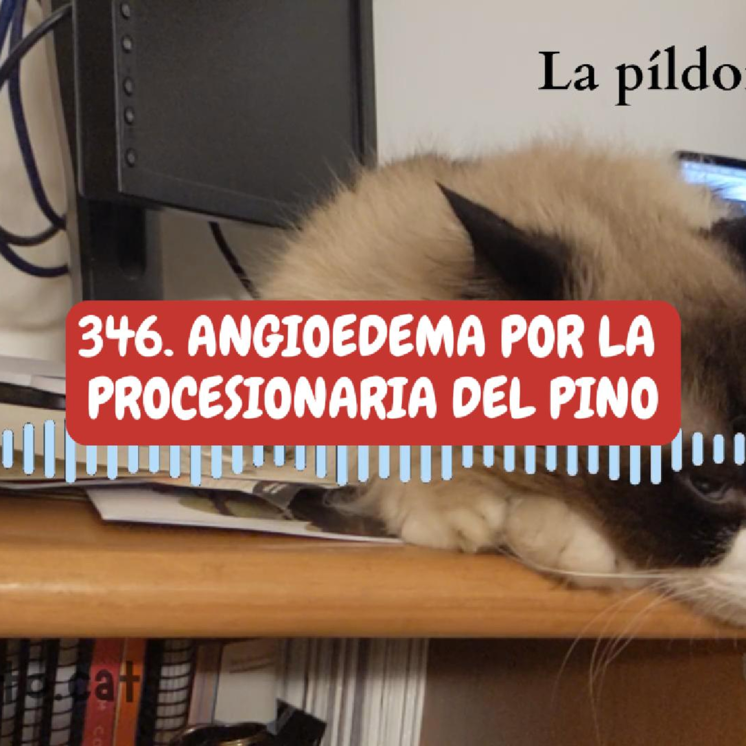 Imagen del episodio 346. Angioedema por la PROCESIONARIA del pino