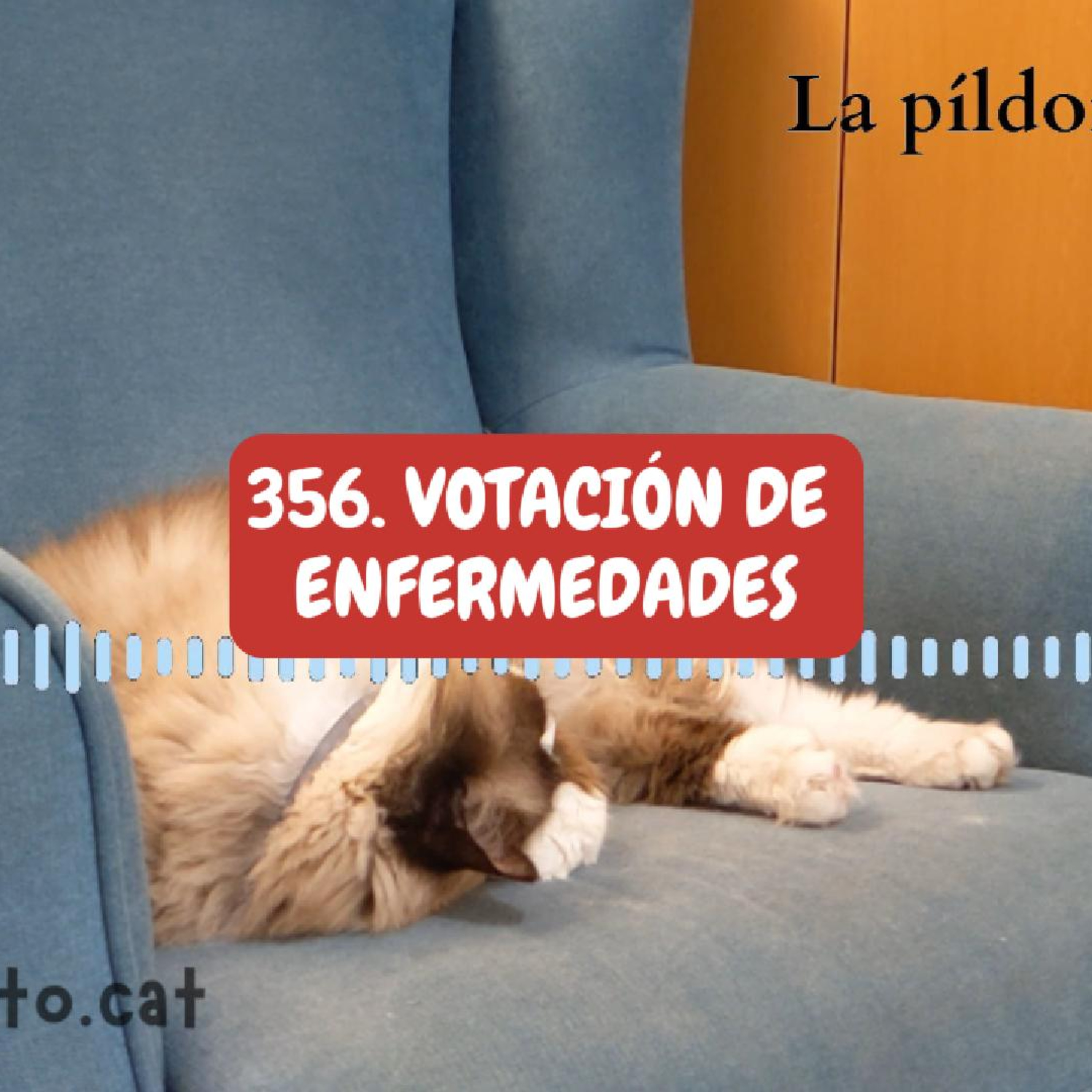 Imagen del episodio 356. Votación de enfermedades