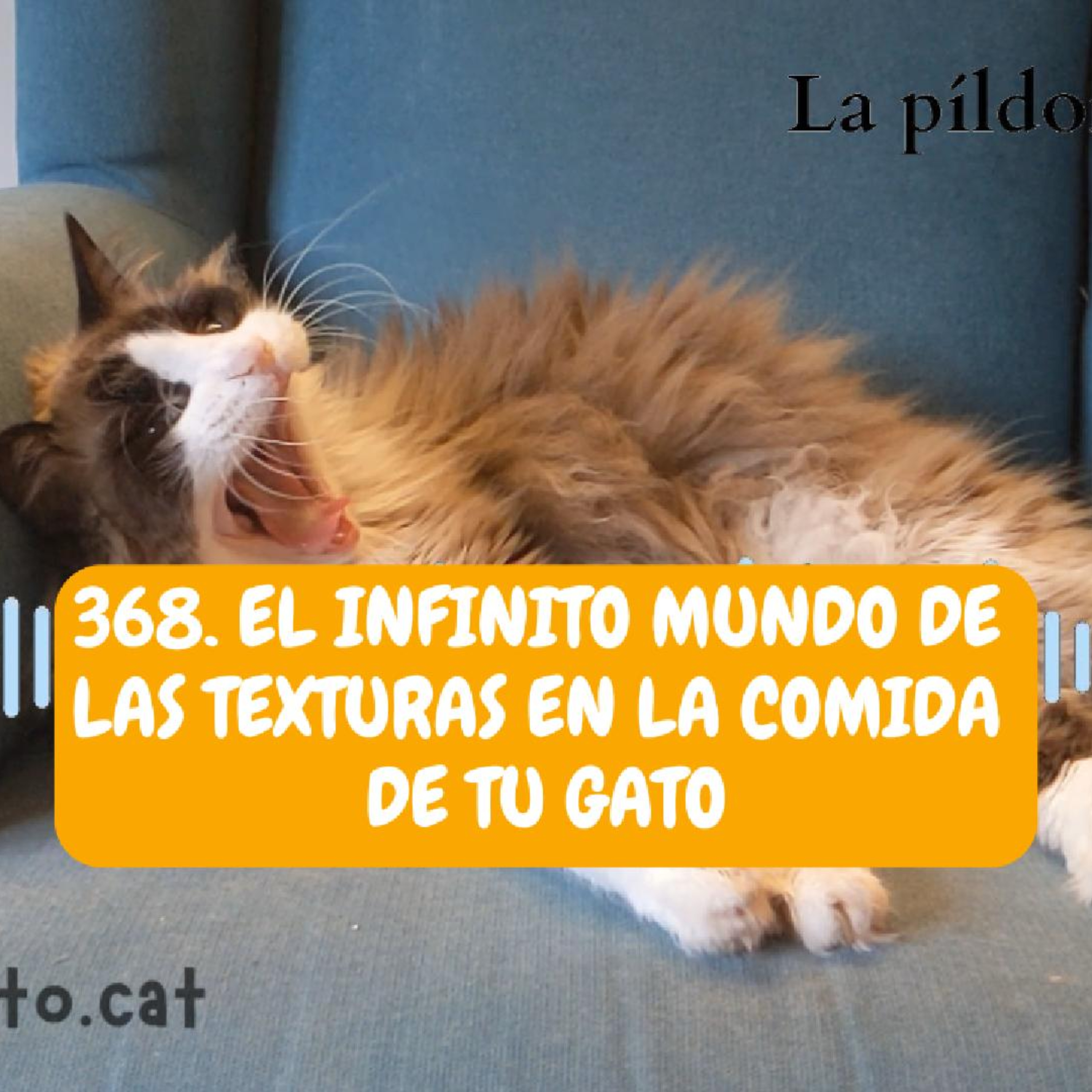 Imagen del episodio 368. El INFINITO mundo de las TEXTURAS en la comida de tu gato