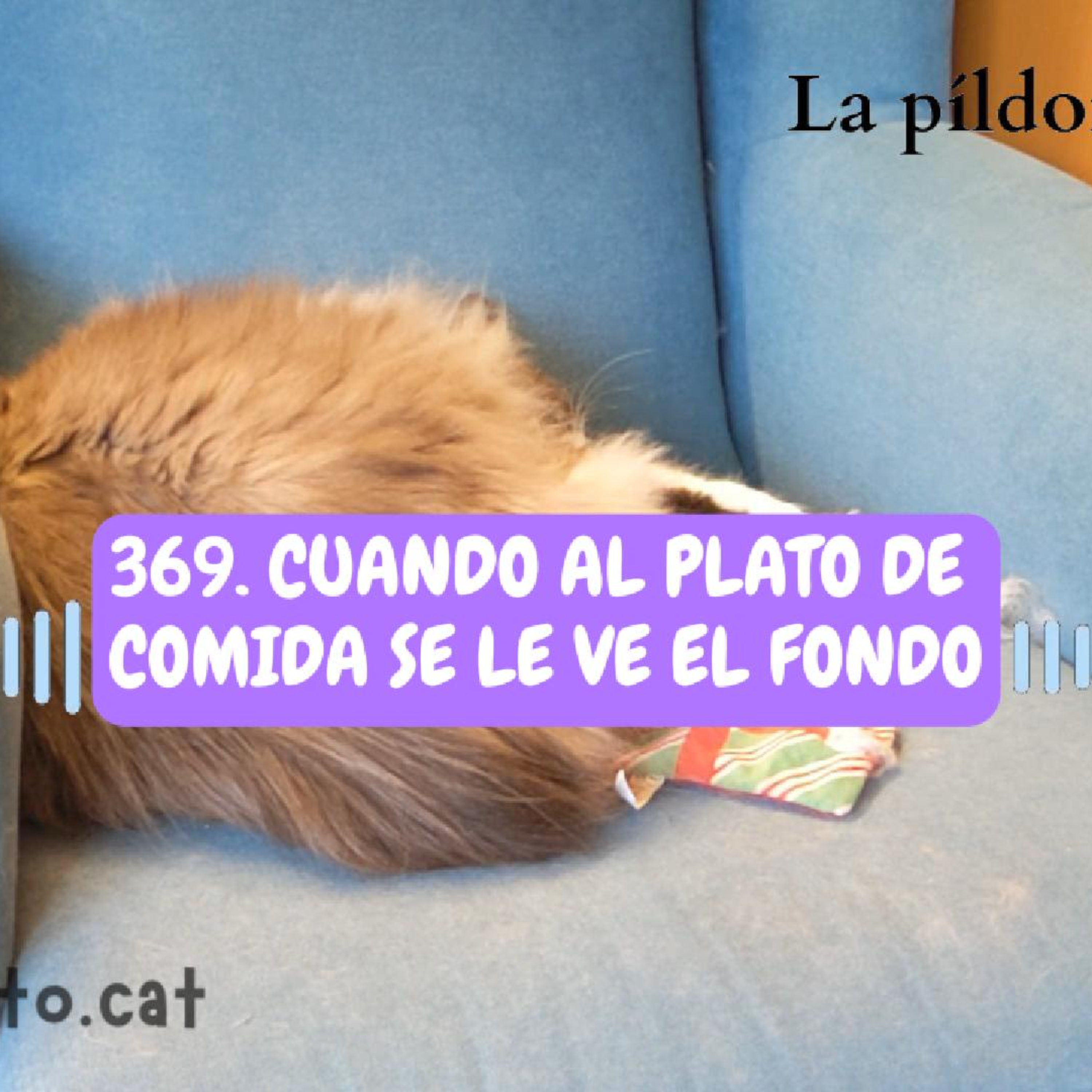 Imagen del episodio 369. Cuando al plato de comida se le ve el fondo