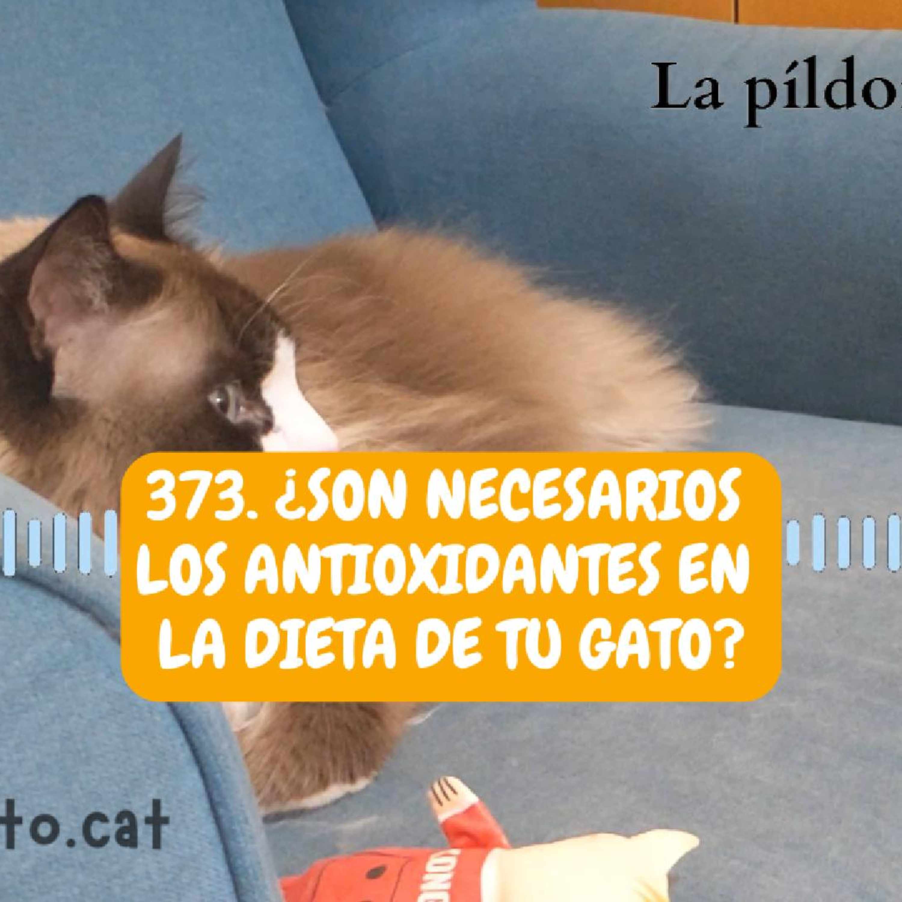 Imagen del episodio 373. ¿Son necesarios los antioxidantes en la dieta de tu gato?