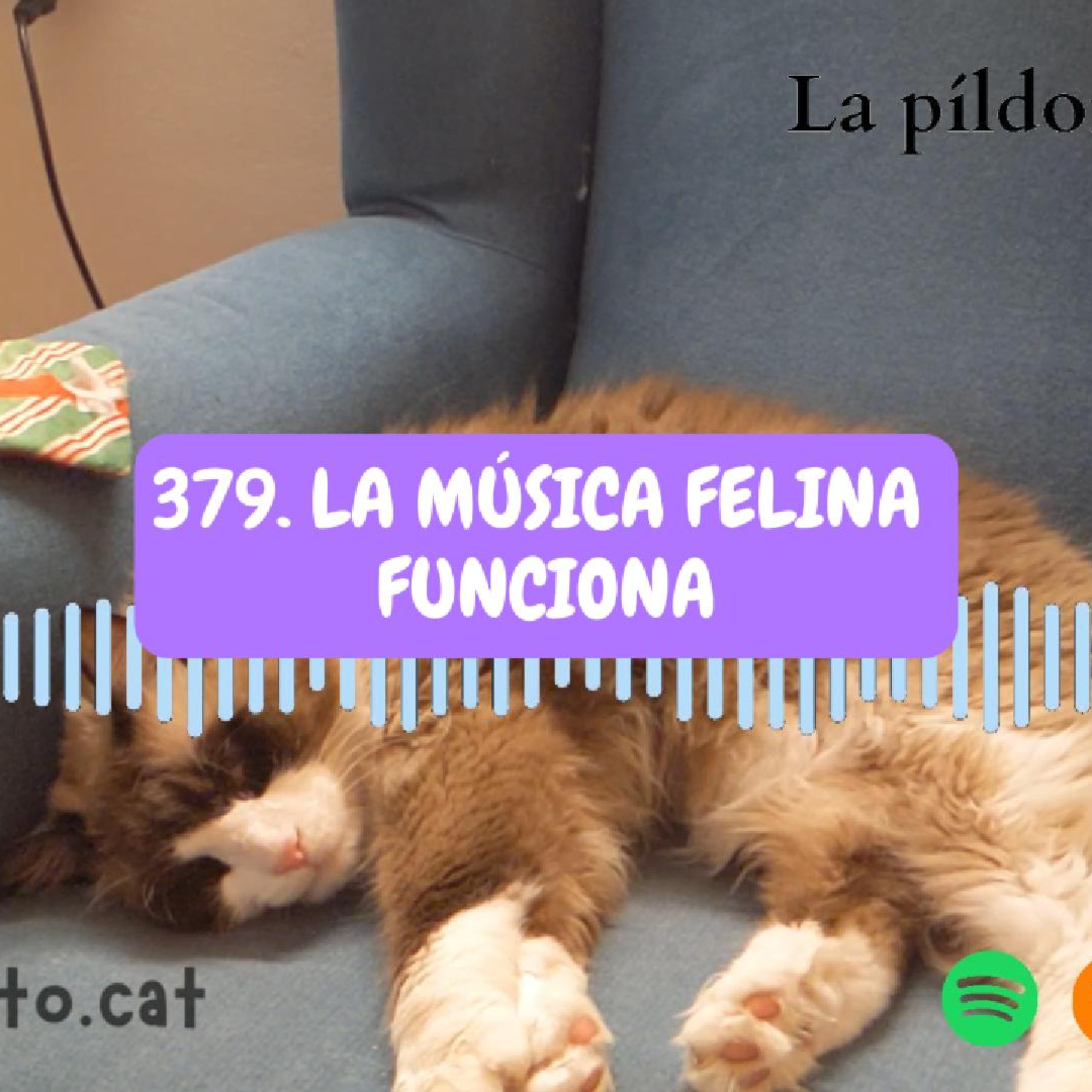 Imagen del episodio 379. La MÚSICA FELINA funciona
